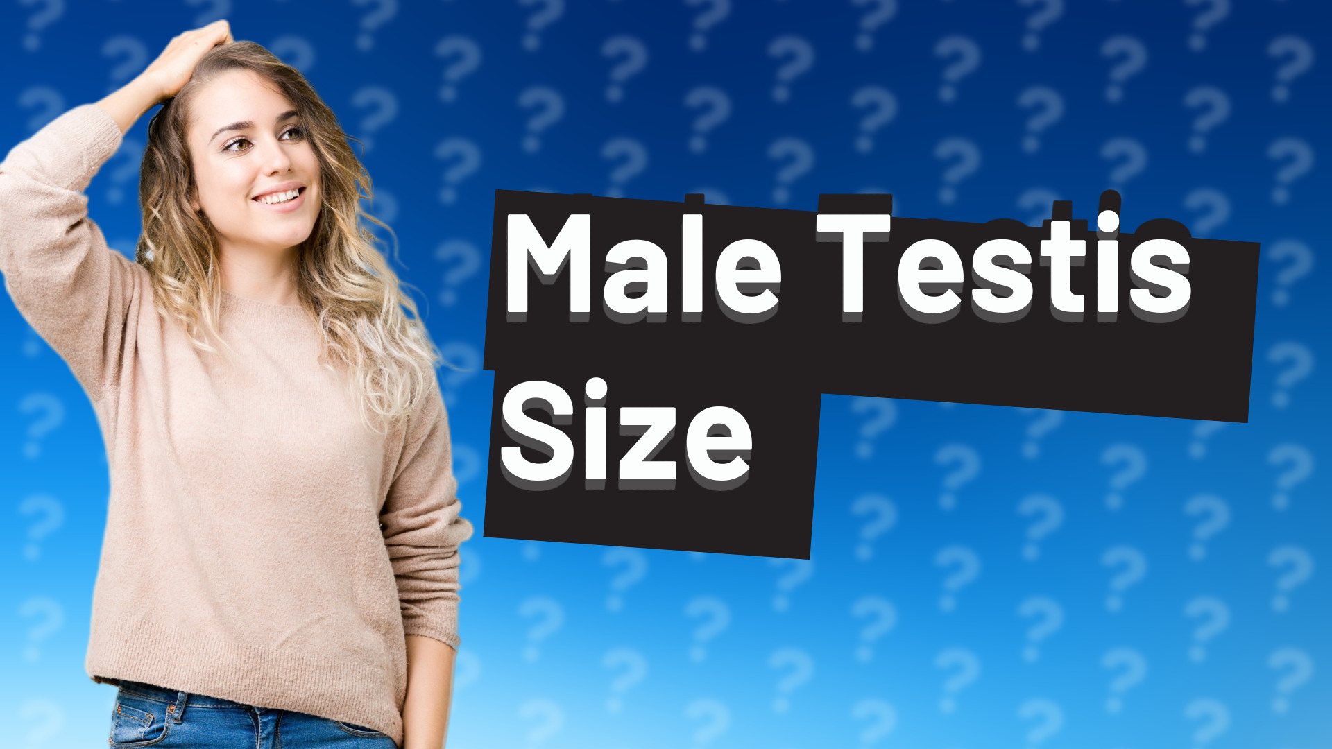 Male Testis Size