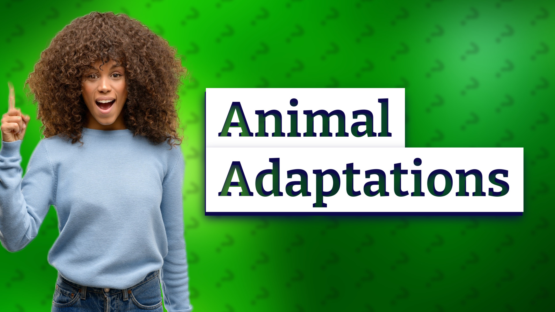 Animal Adaptations