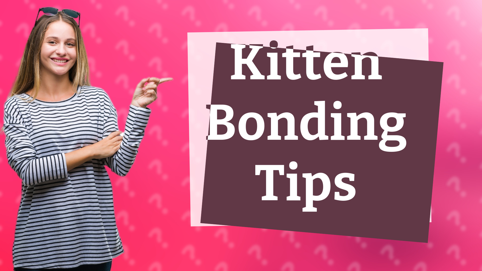 Kitten Bonding Tips
