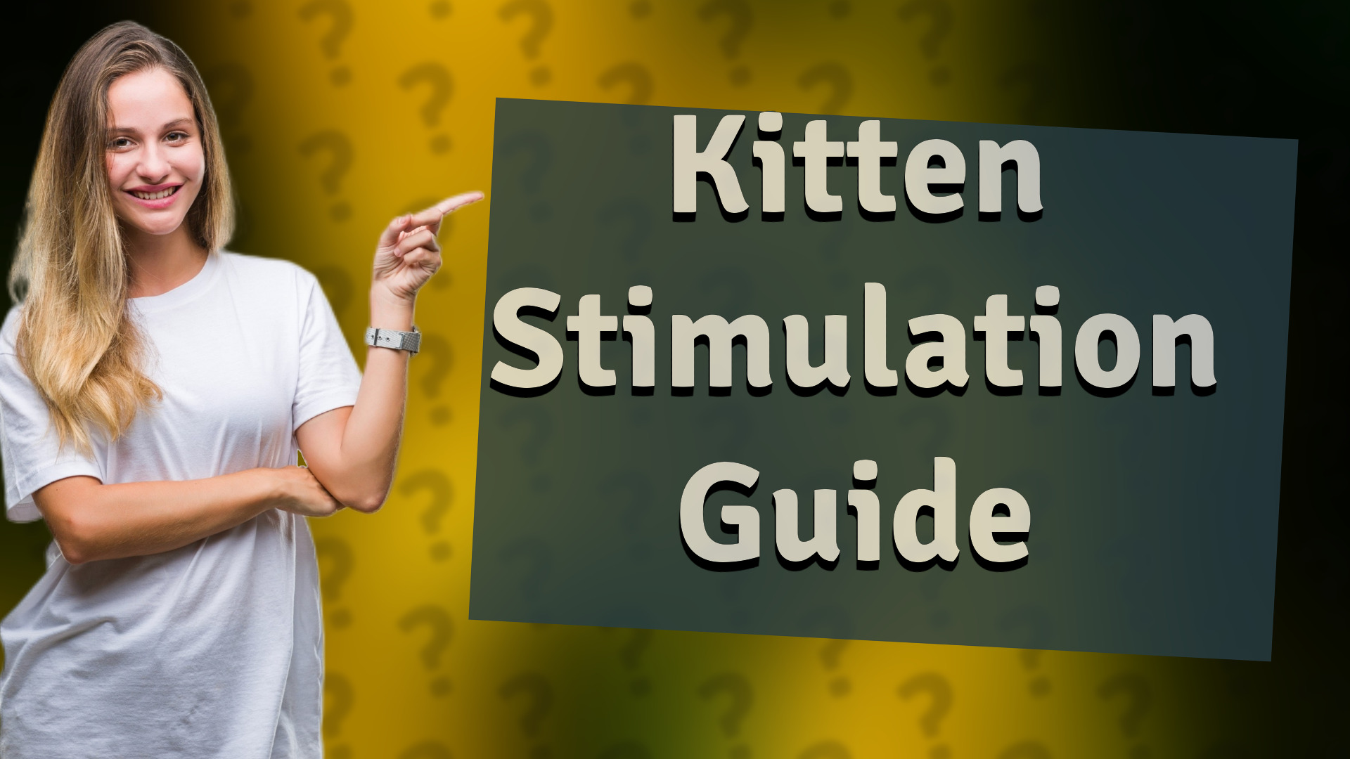 Kitten Stimulation Guide