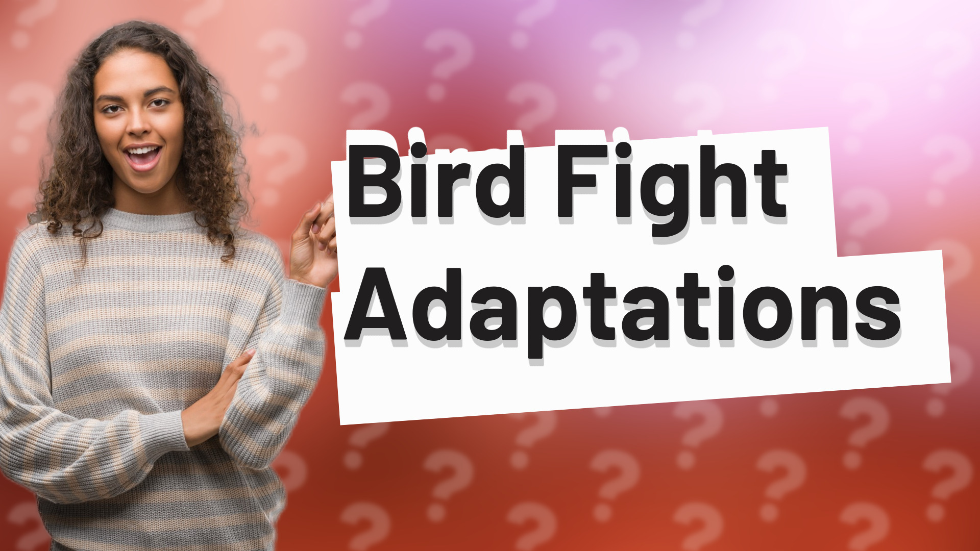 Bird Fight Adaptations