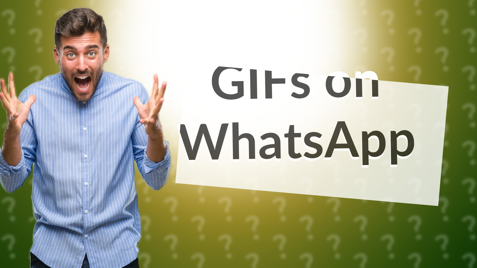 GIFs on WhatsApp