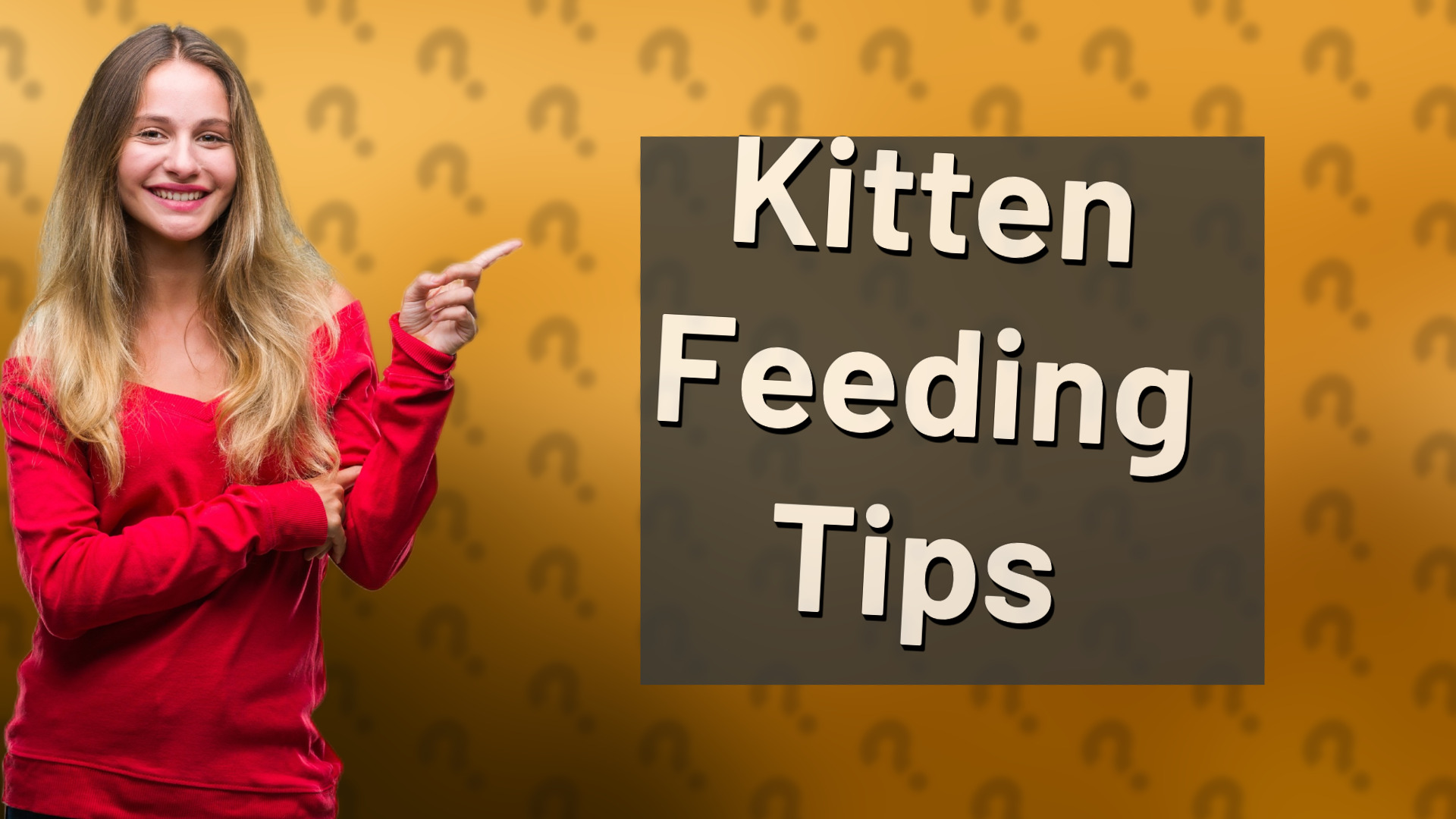 Kitten Feeding Tips