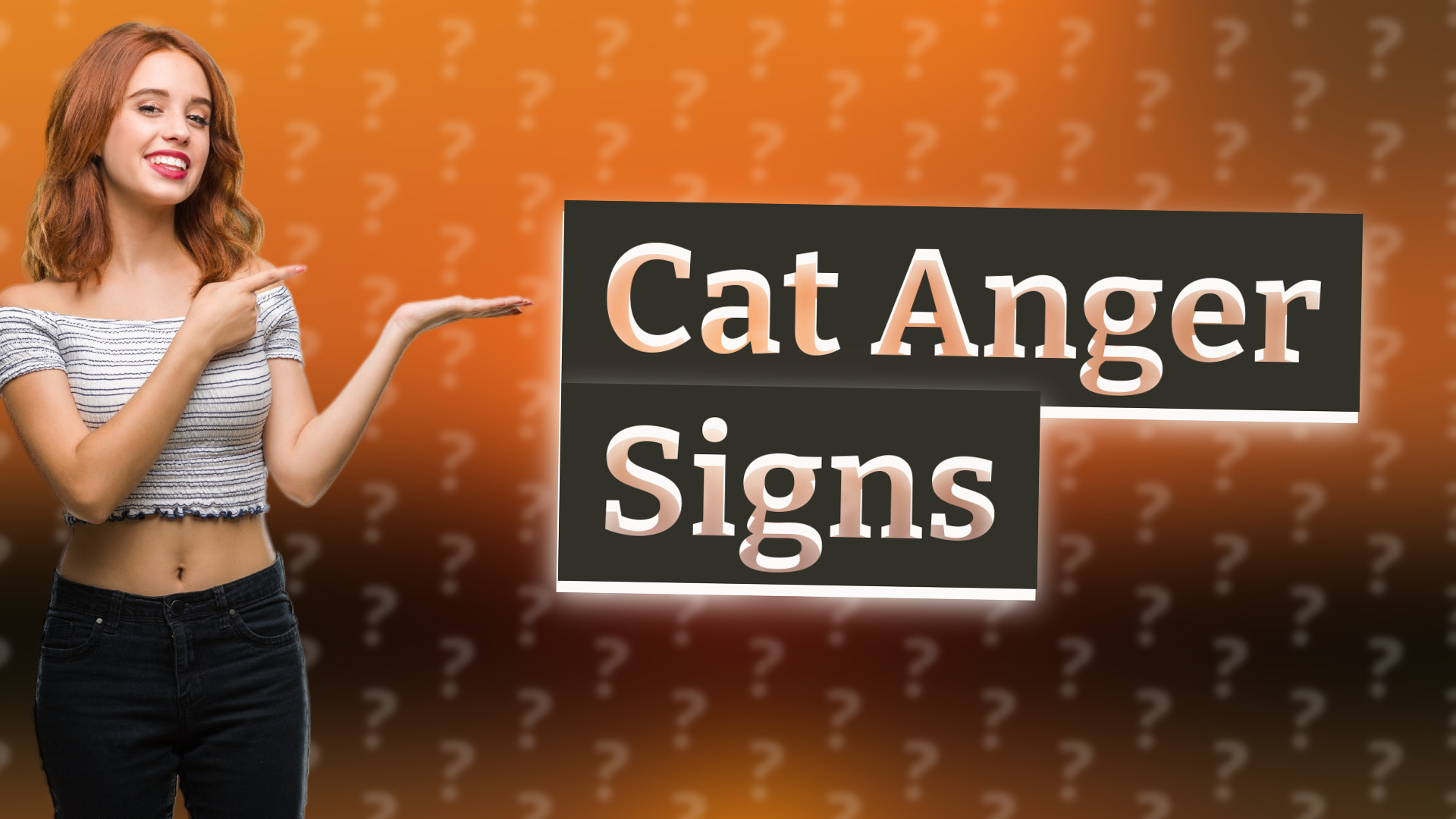 Cat Anger Signs