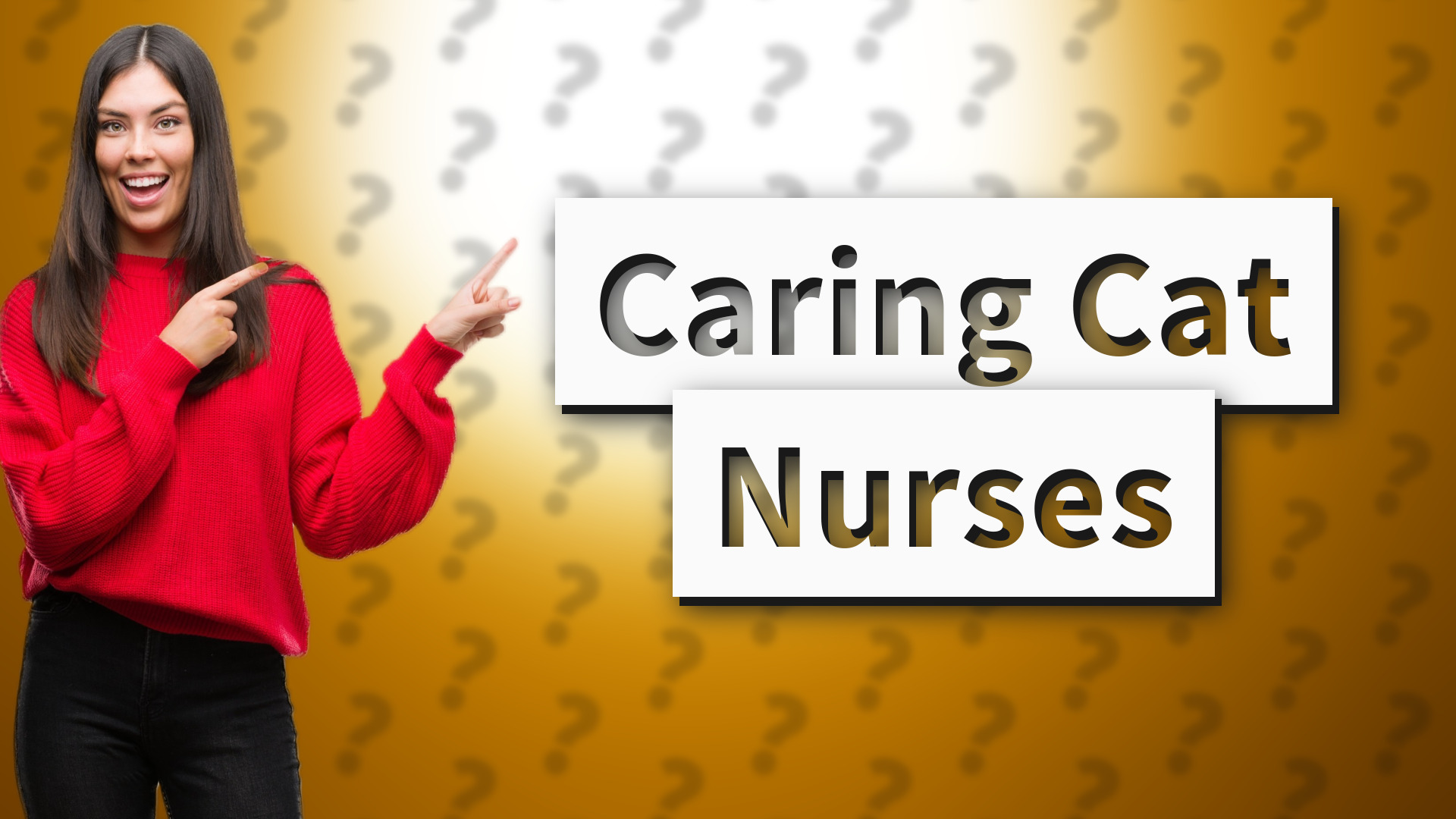 Caring Cat Nurses