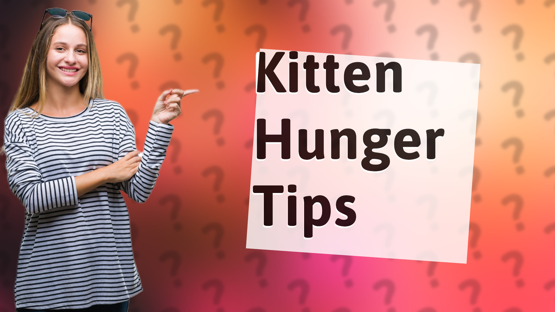 Kitten Hunger Tips