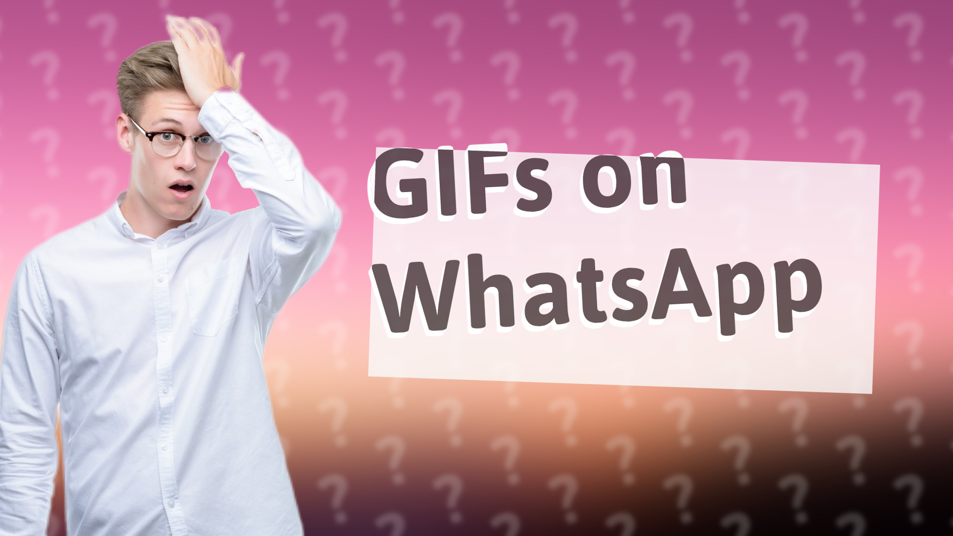 GIFs on WhatsApp