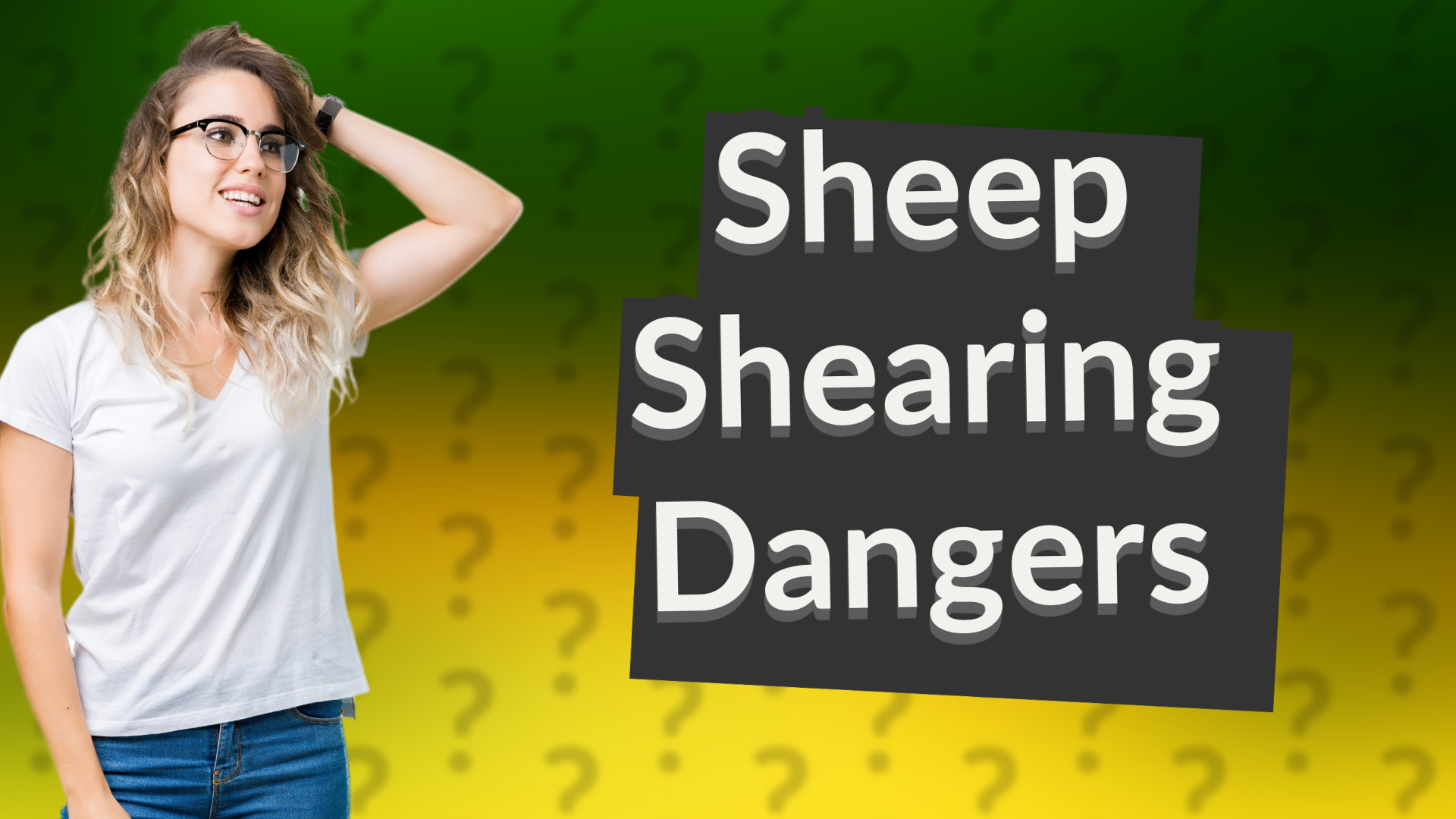 Sheep Shearing Dangers