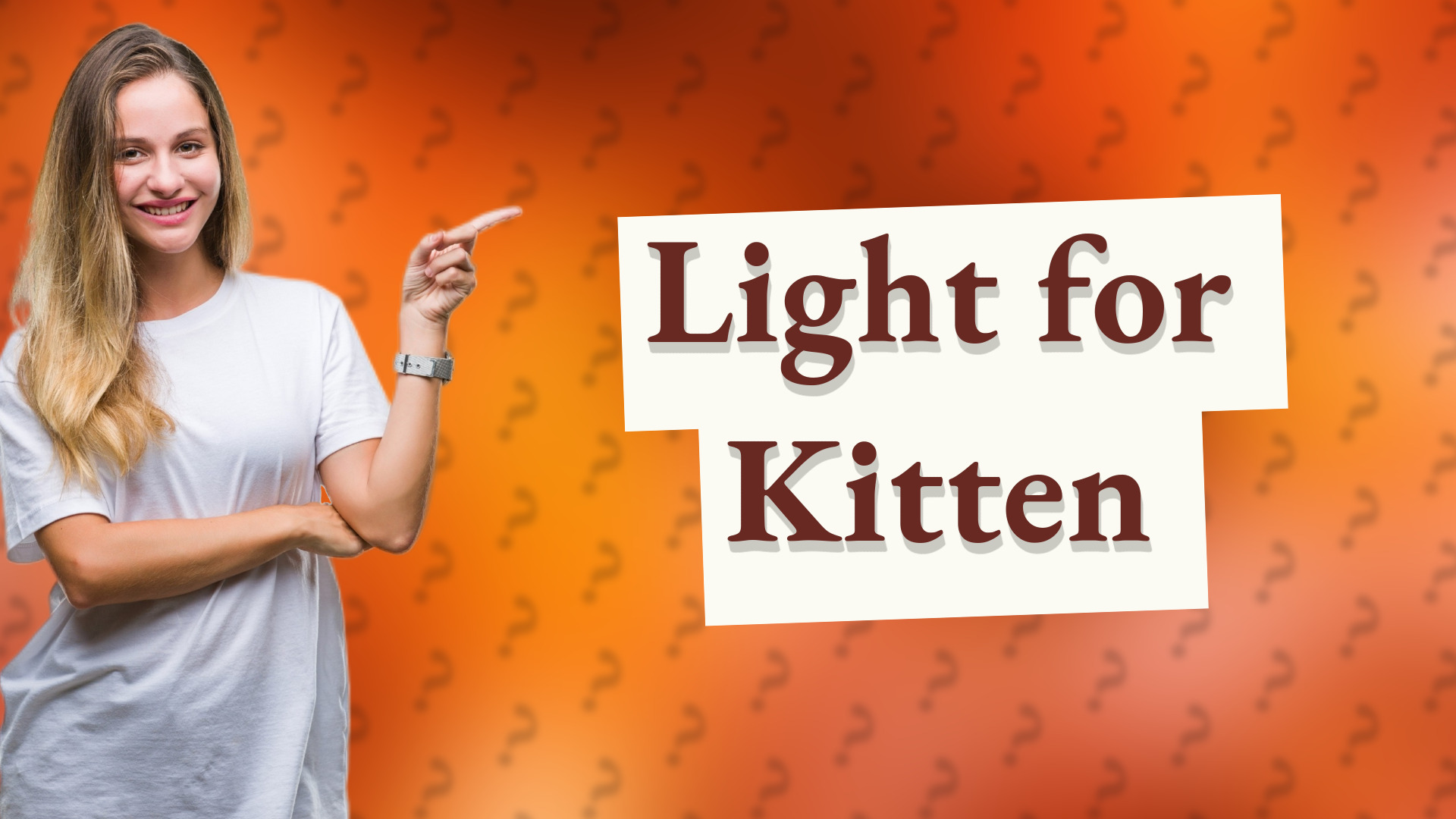 Light for Kitten
