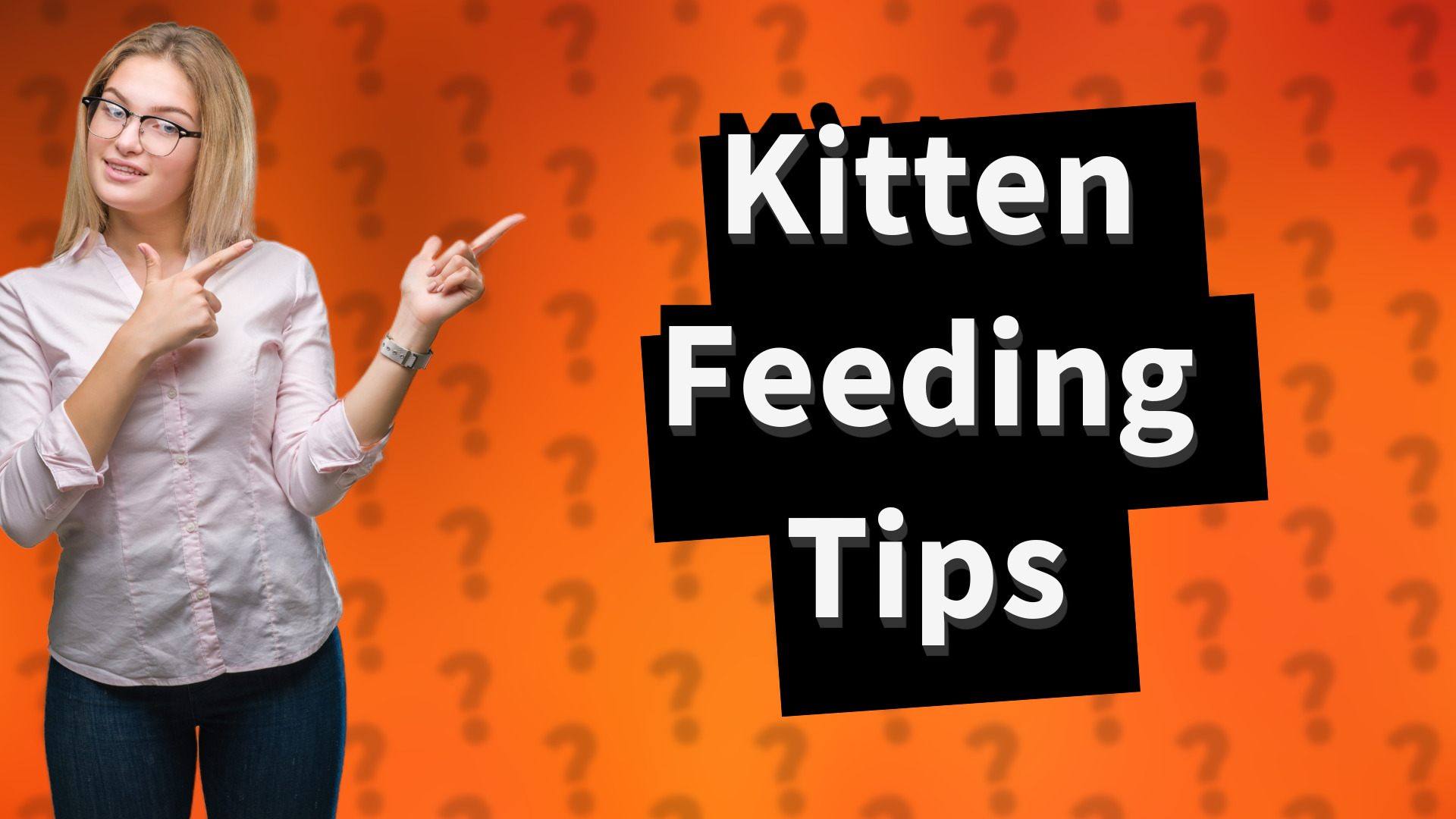 Kitten Feeding Tips
