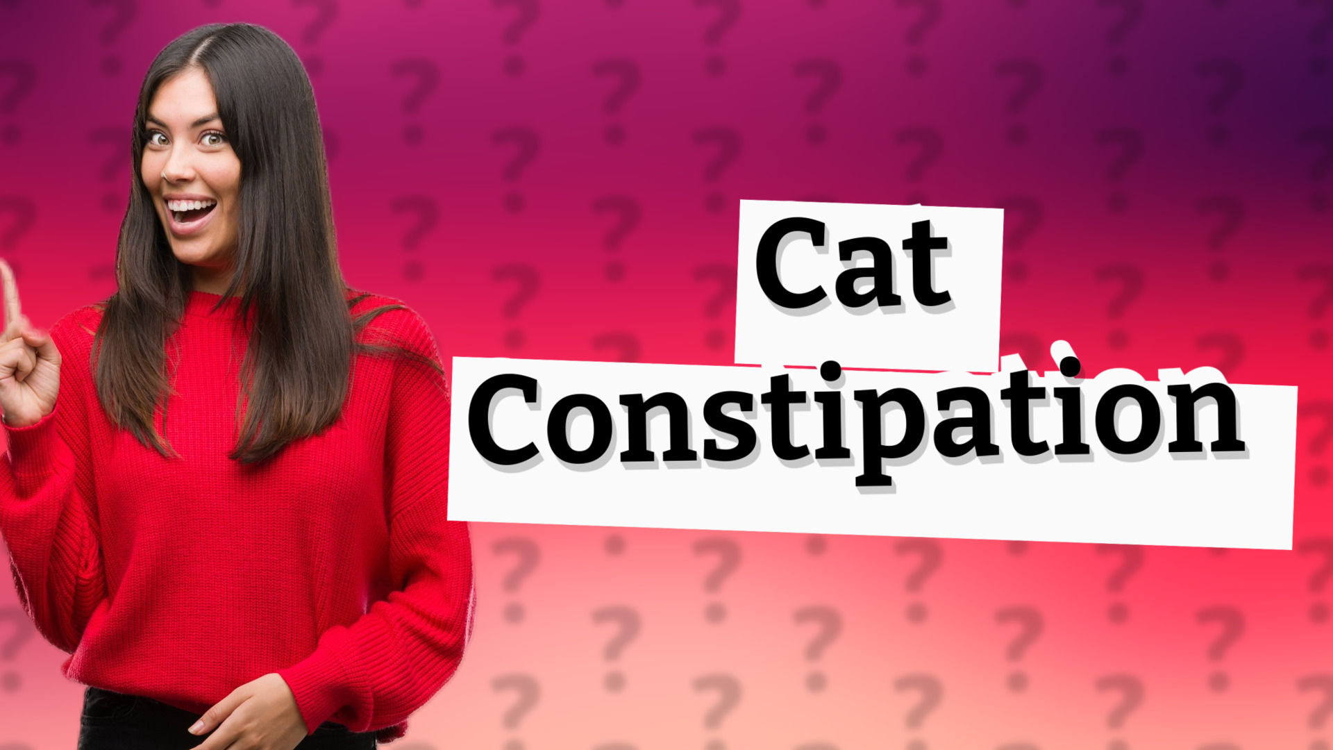 Cat Constipation