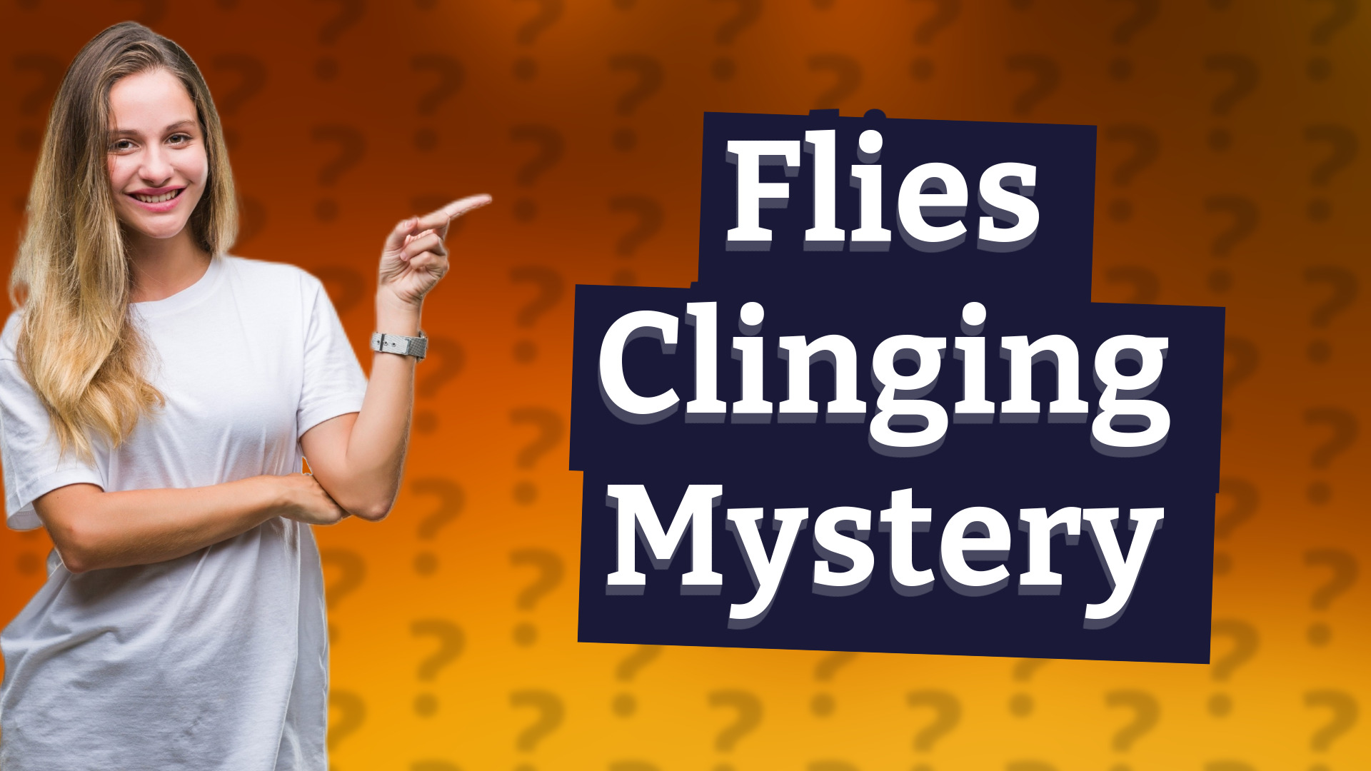 Flies Clinging Mystery