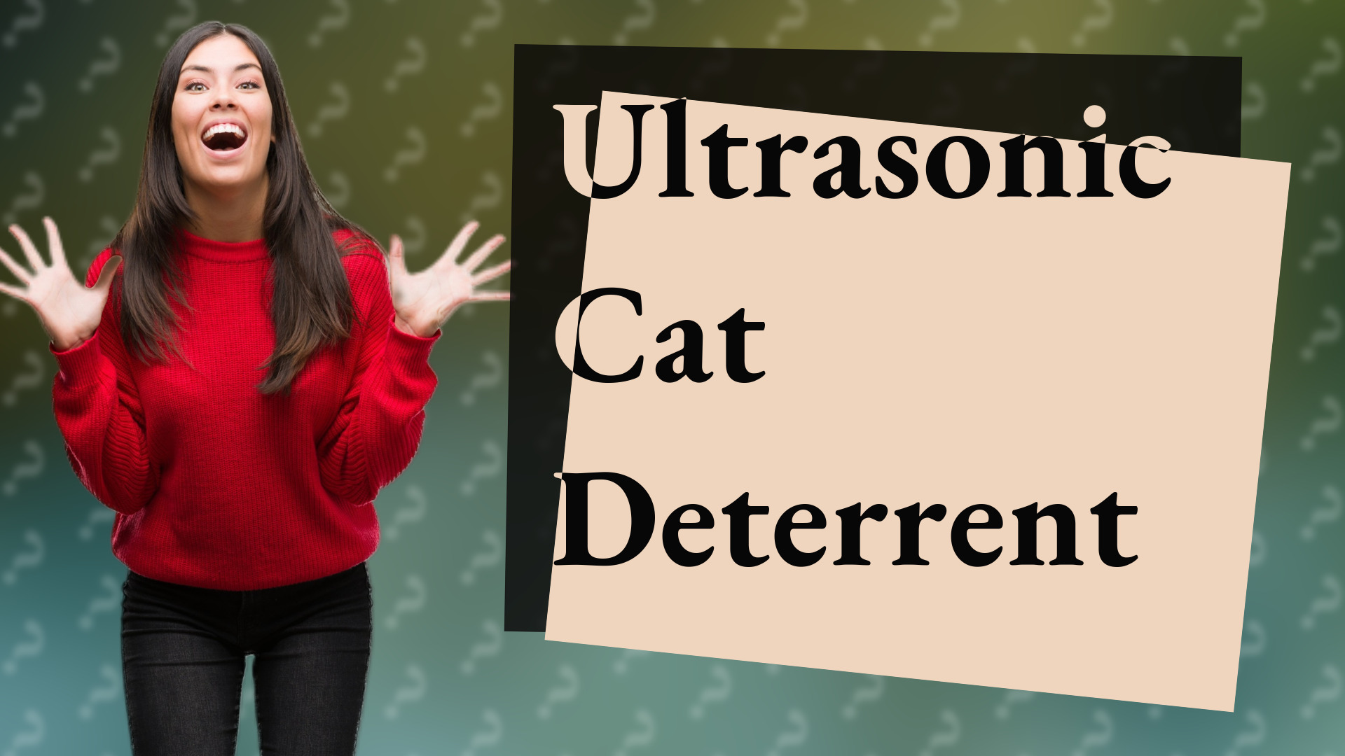 Ultrasonic Cat Deterrent