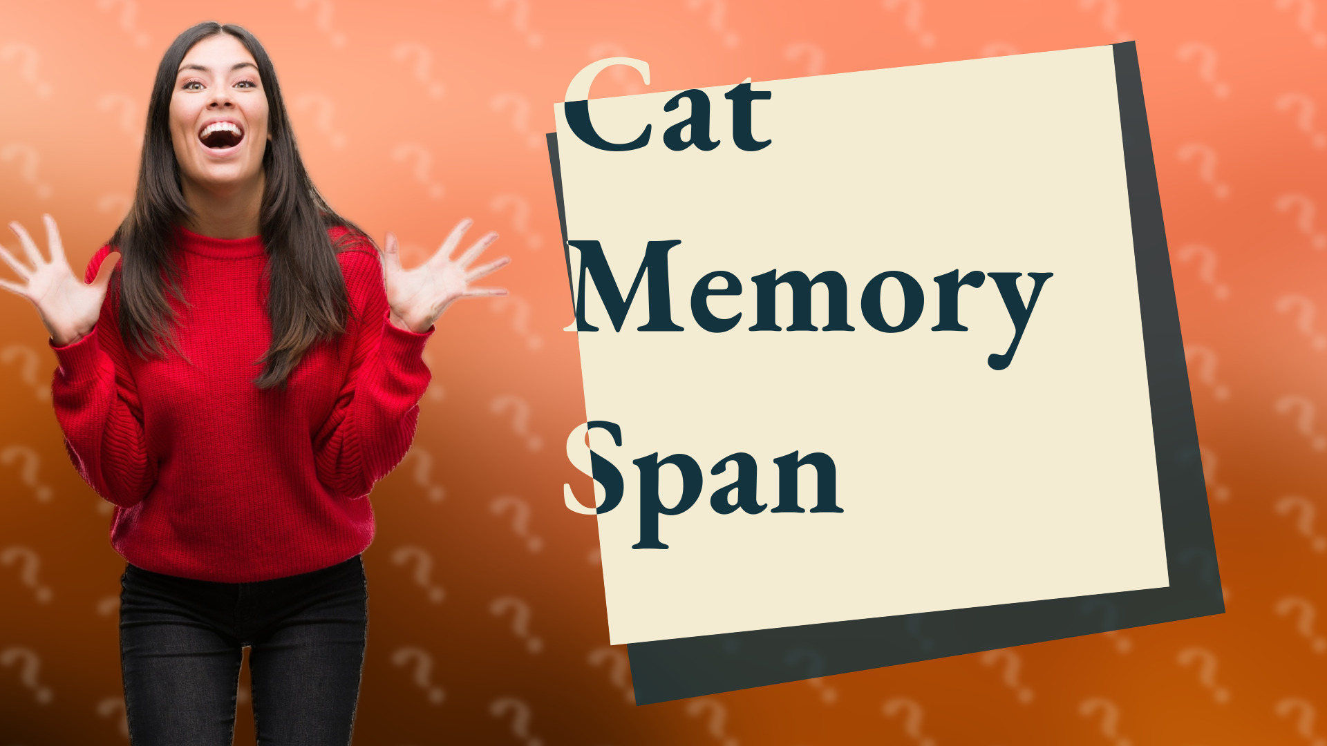 Cat Memory Span