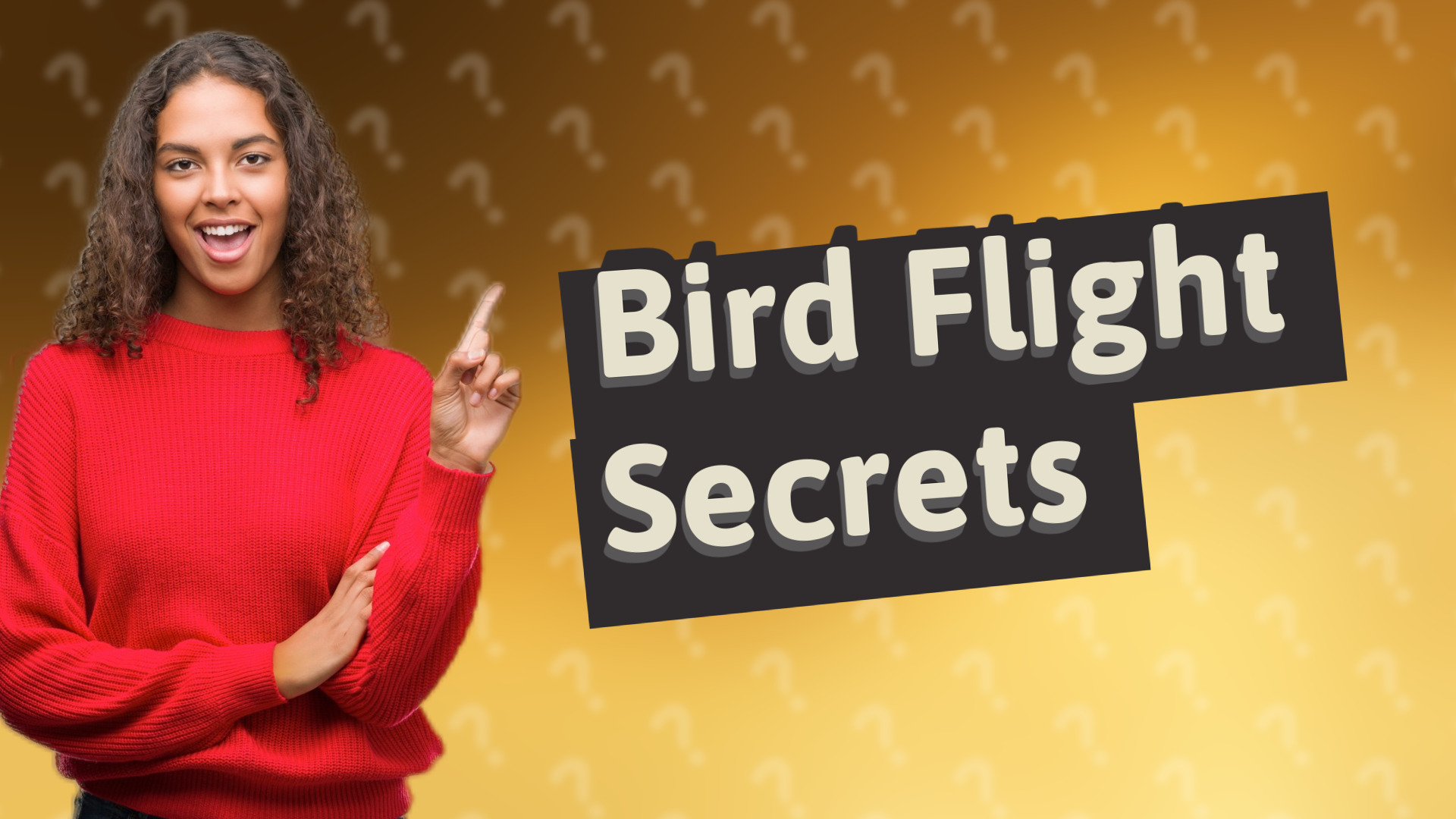 Bird Flight Secrets