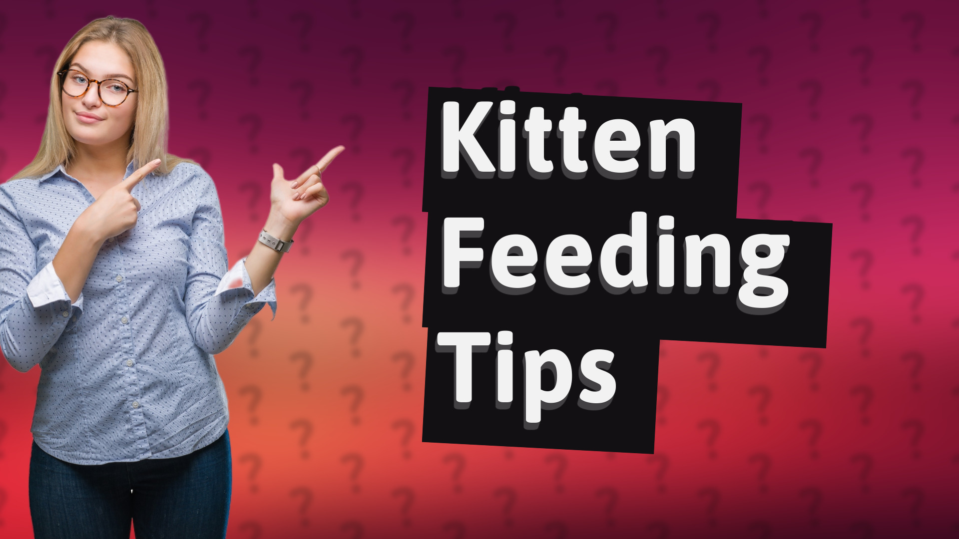 Kitten Feeding Tips