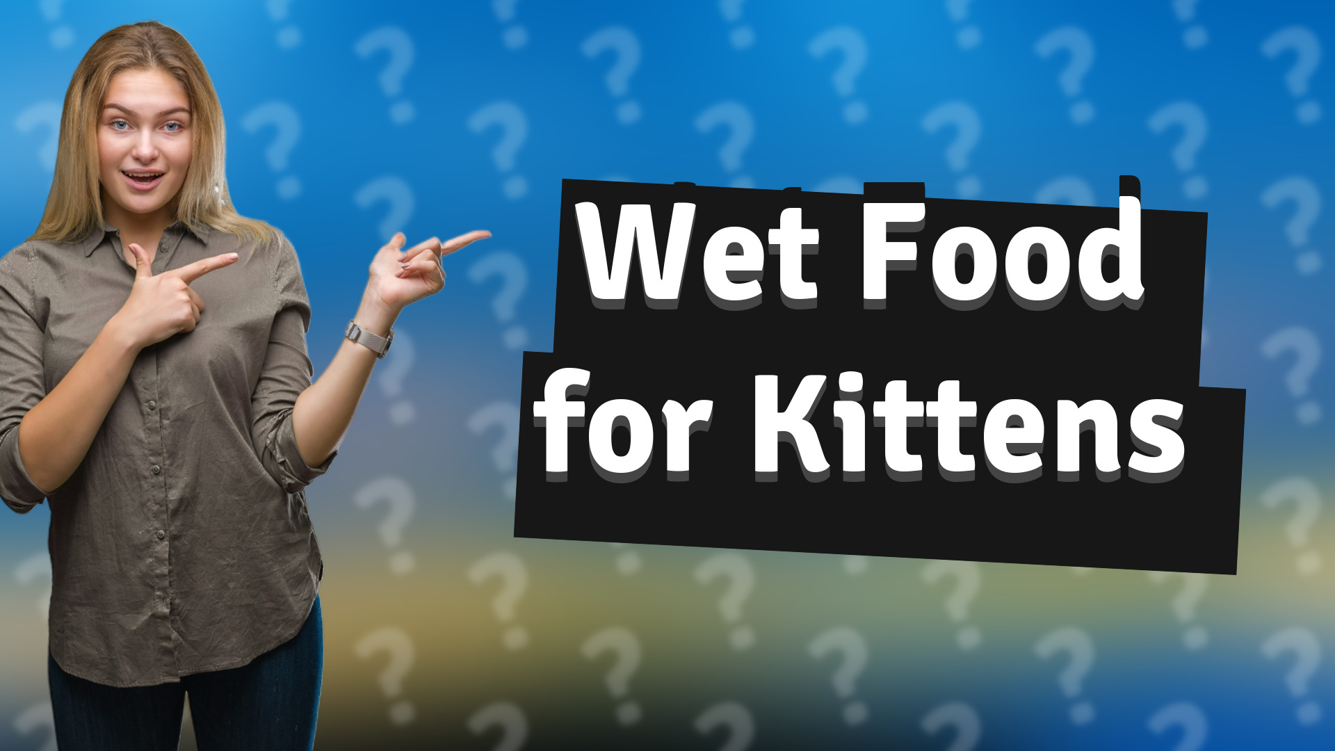 Wet Food for Kittens