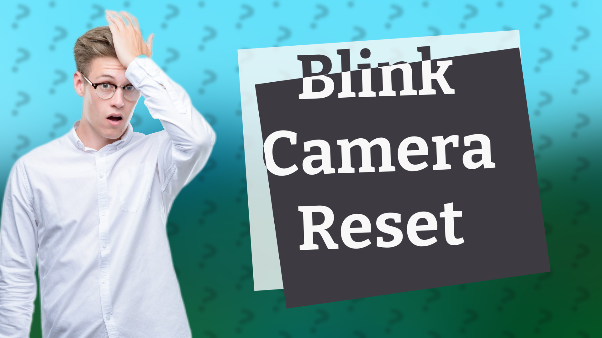 Blink Camera Reset