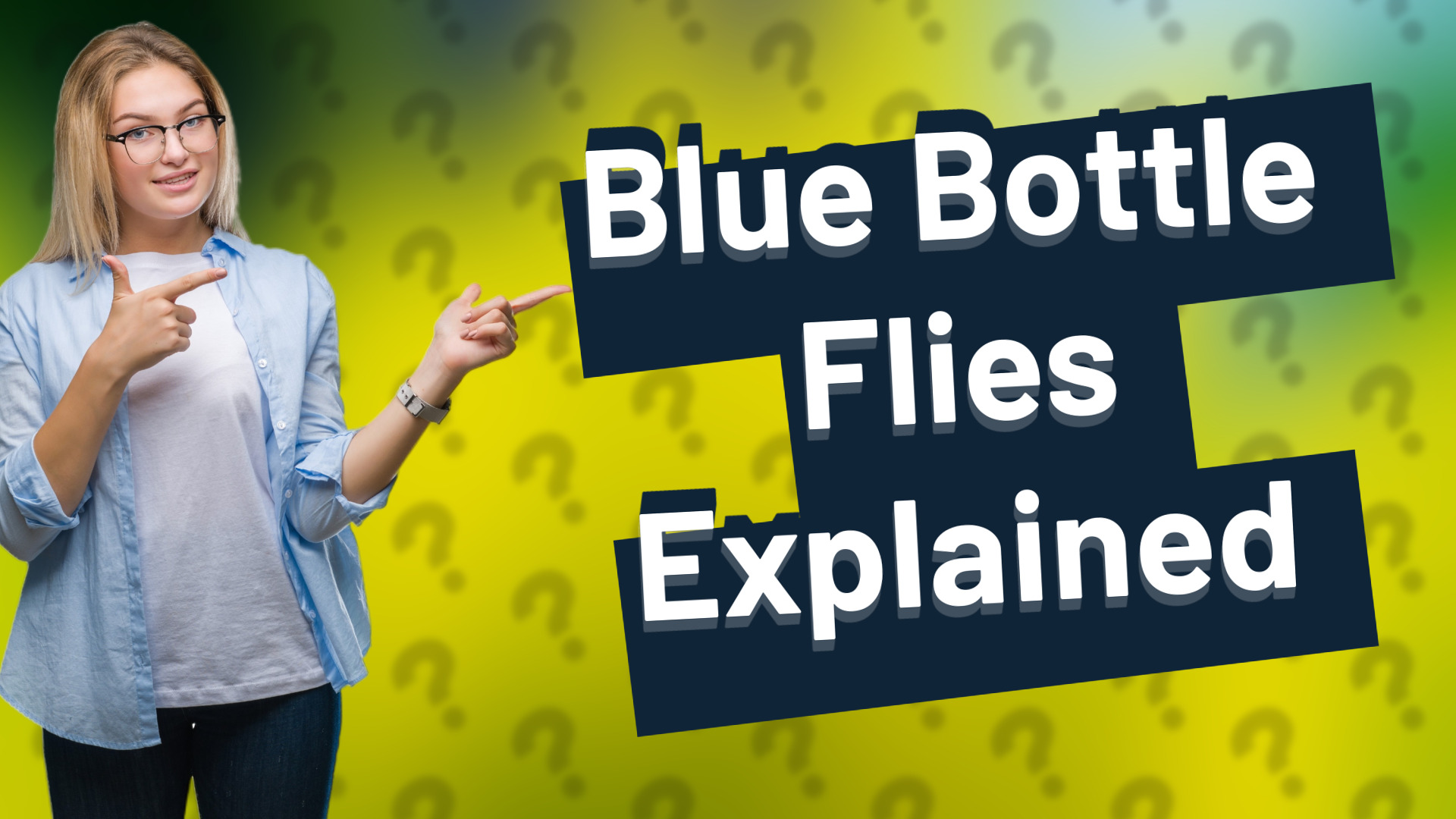 Blue Bottle Flies Explained