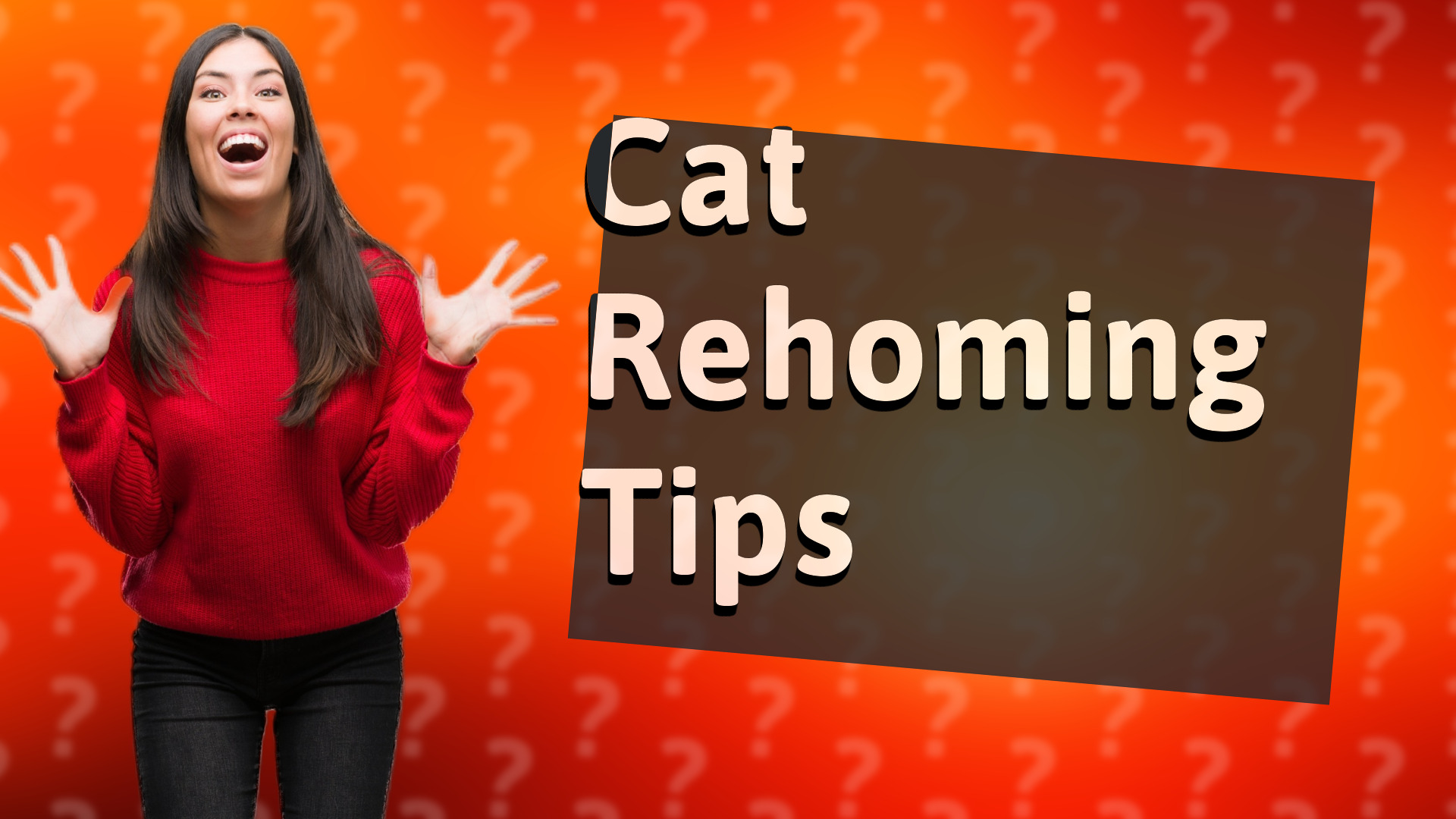 Cat Rehoming Tips