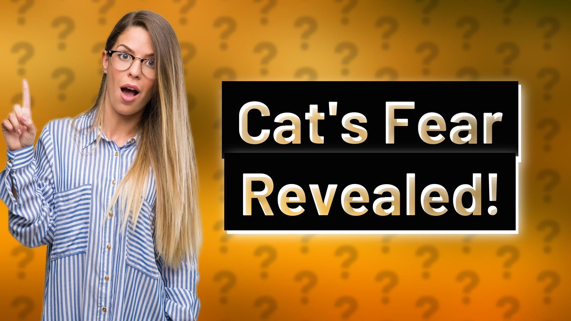 Cat's Fear Revealed!