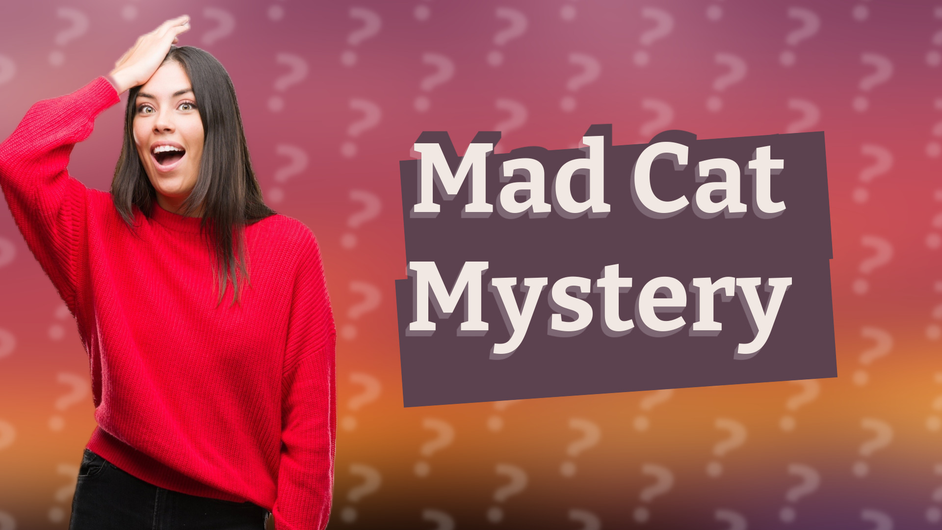 Mad Cat Mystery