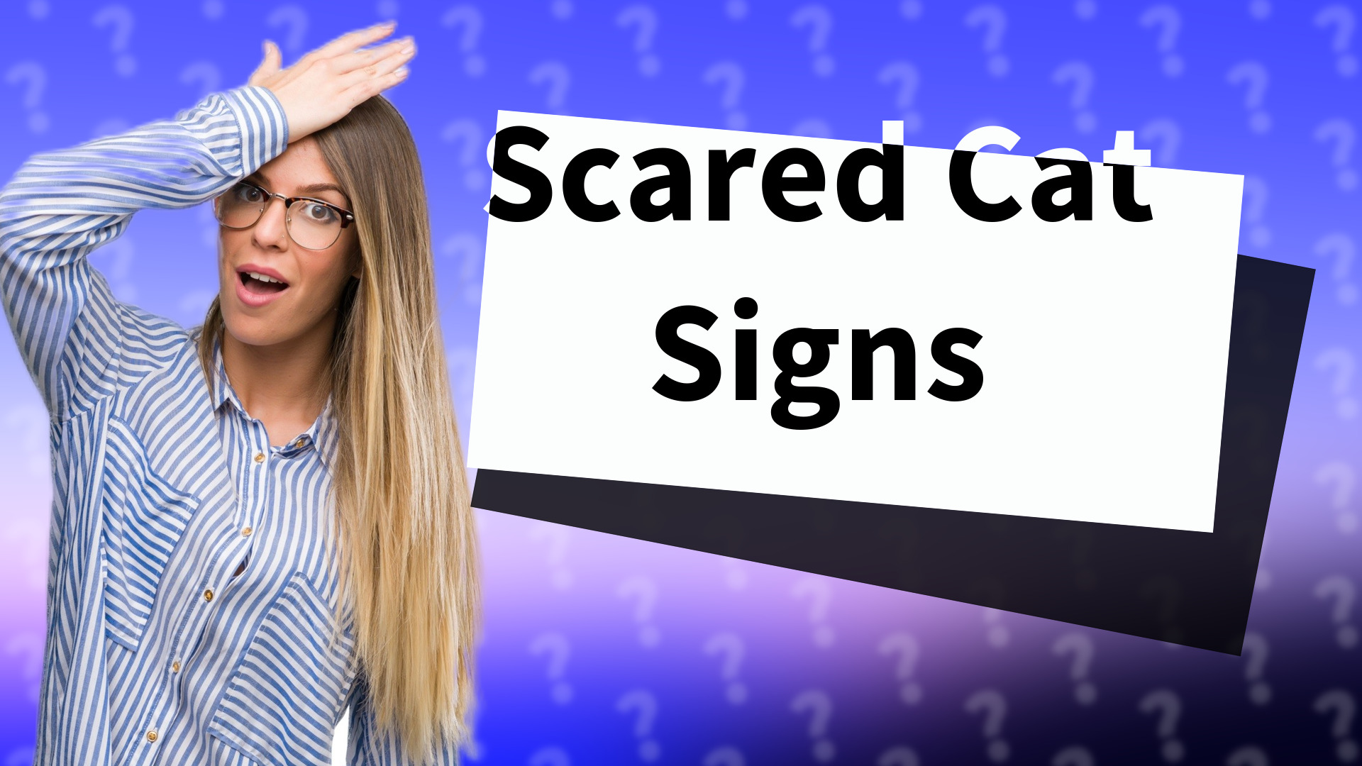 Scared Cat Signs
