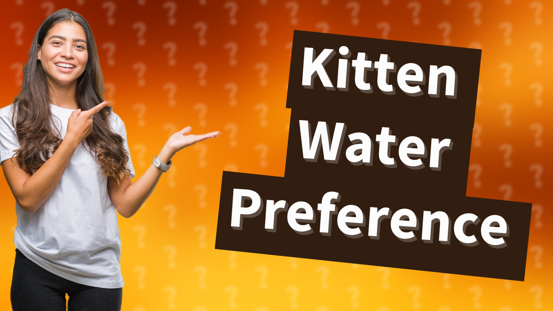 Kitten Water Preference