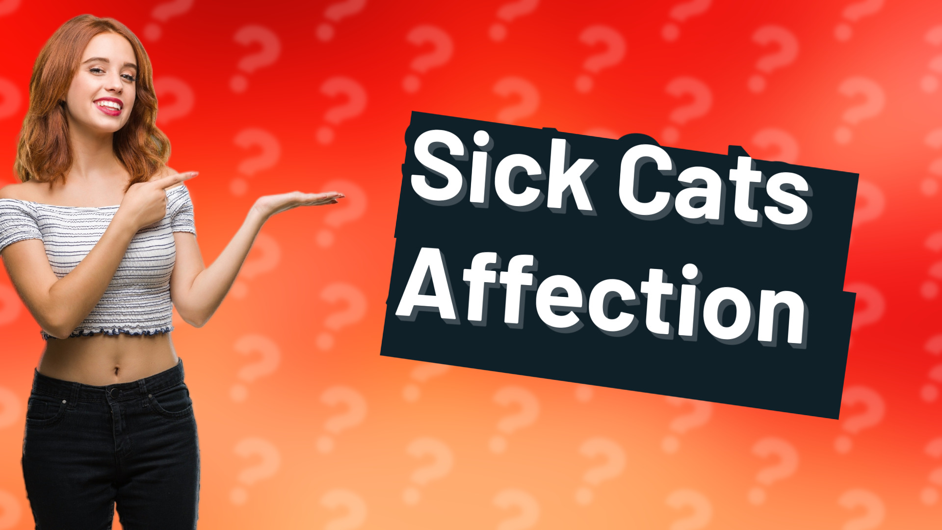 Sick Cats Affection