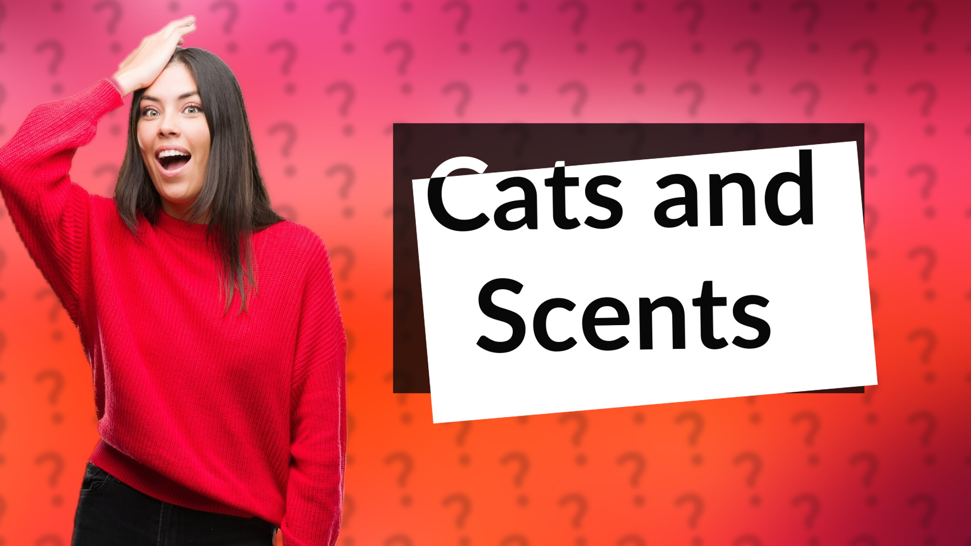 Cats and Scents