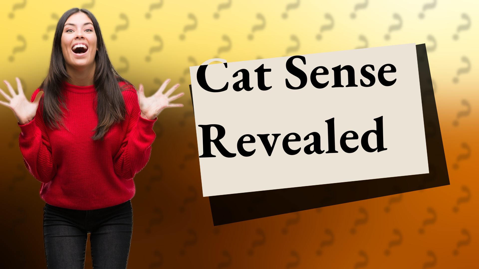 Cat Sense Revealed