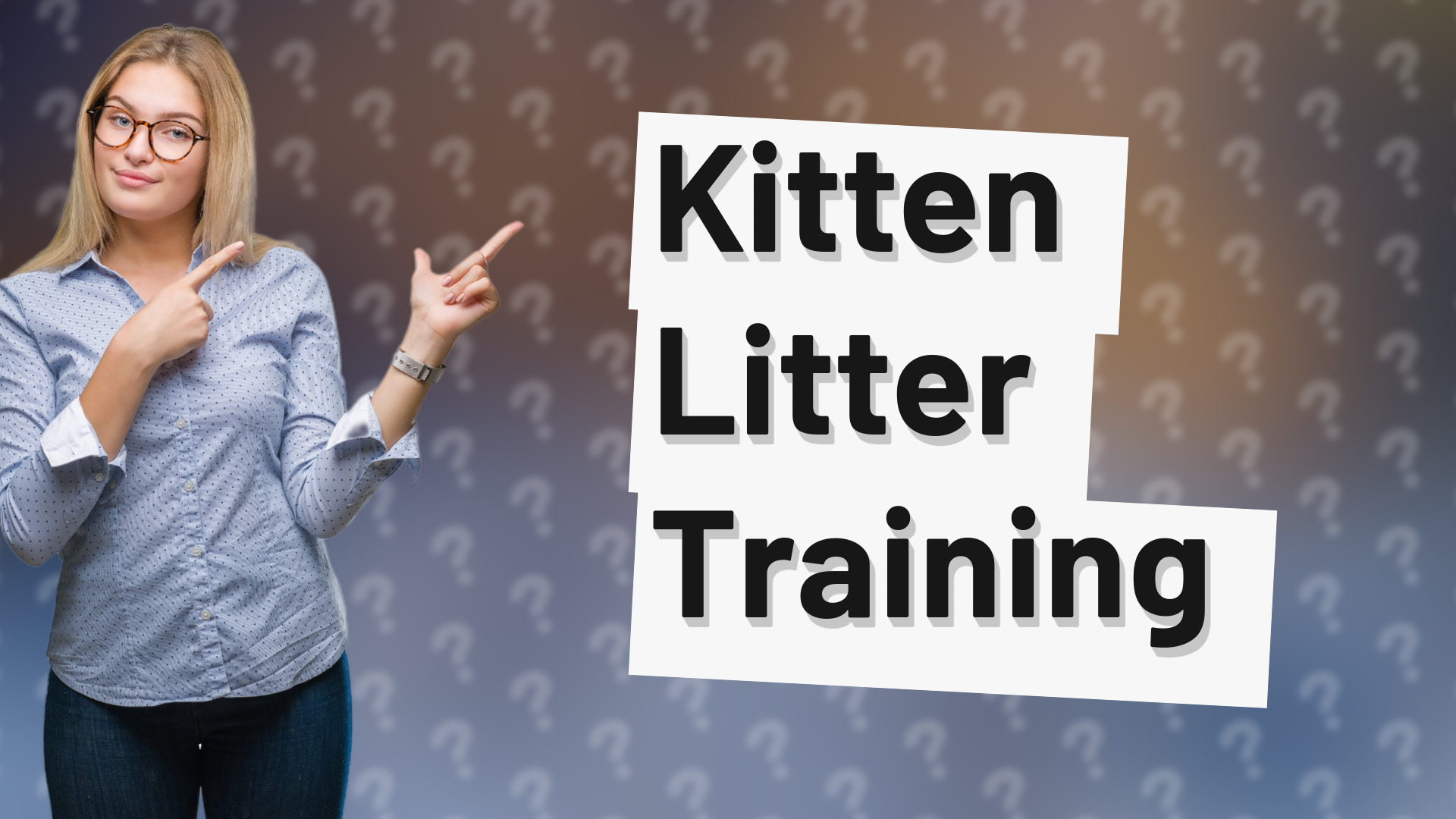 Kitten Litter Training