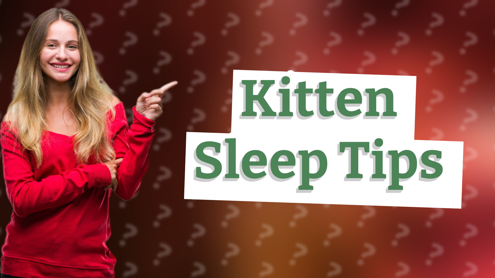 Kitten Sleep Tips
