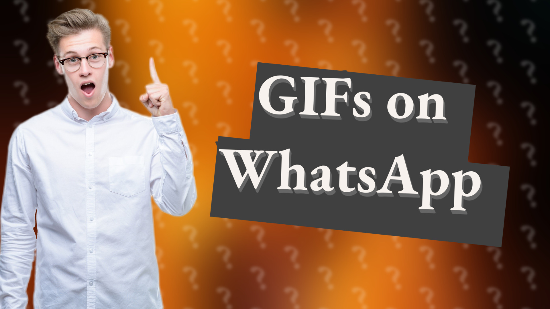 GIFs on WhatsApp