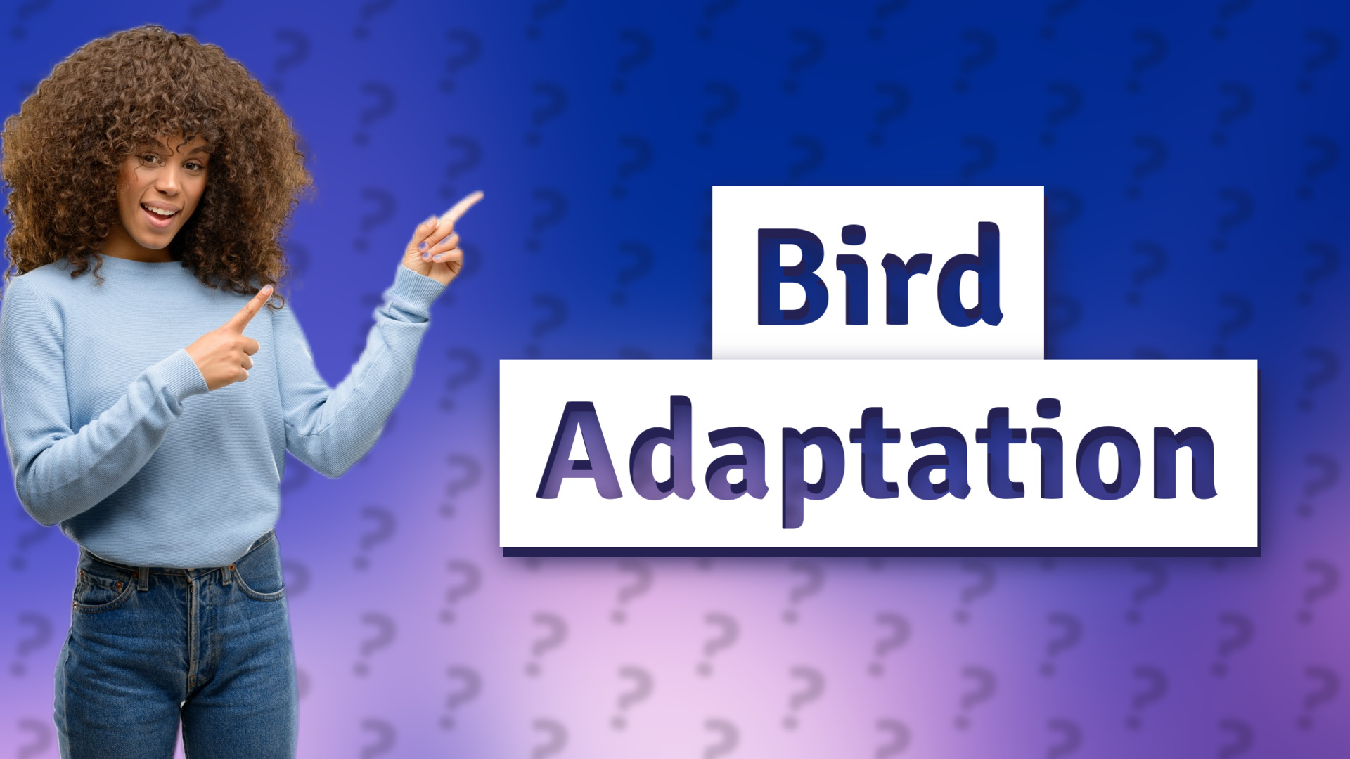 Bird Adaptation