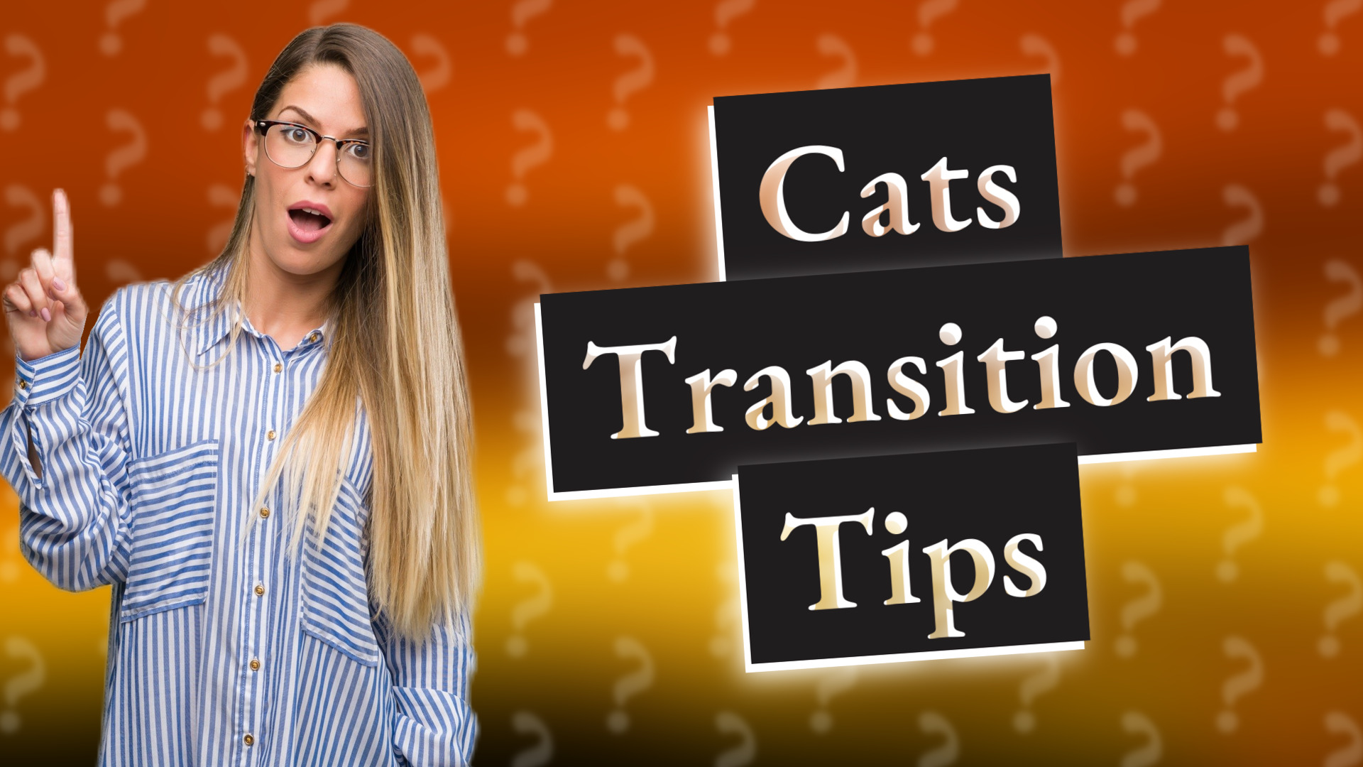 Cats Transition Tips