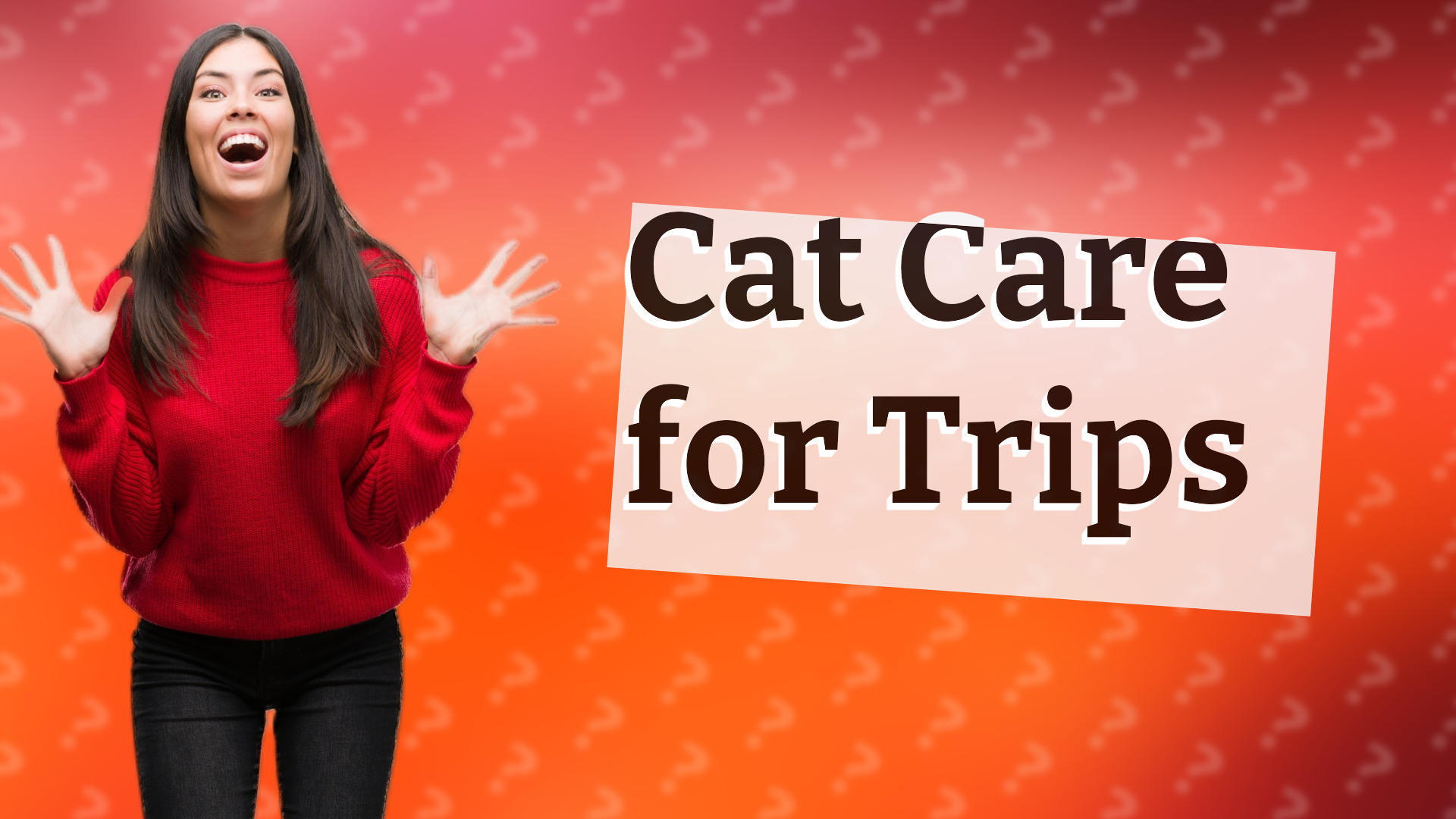 Cat Care for Trips