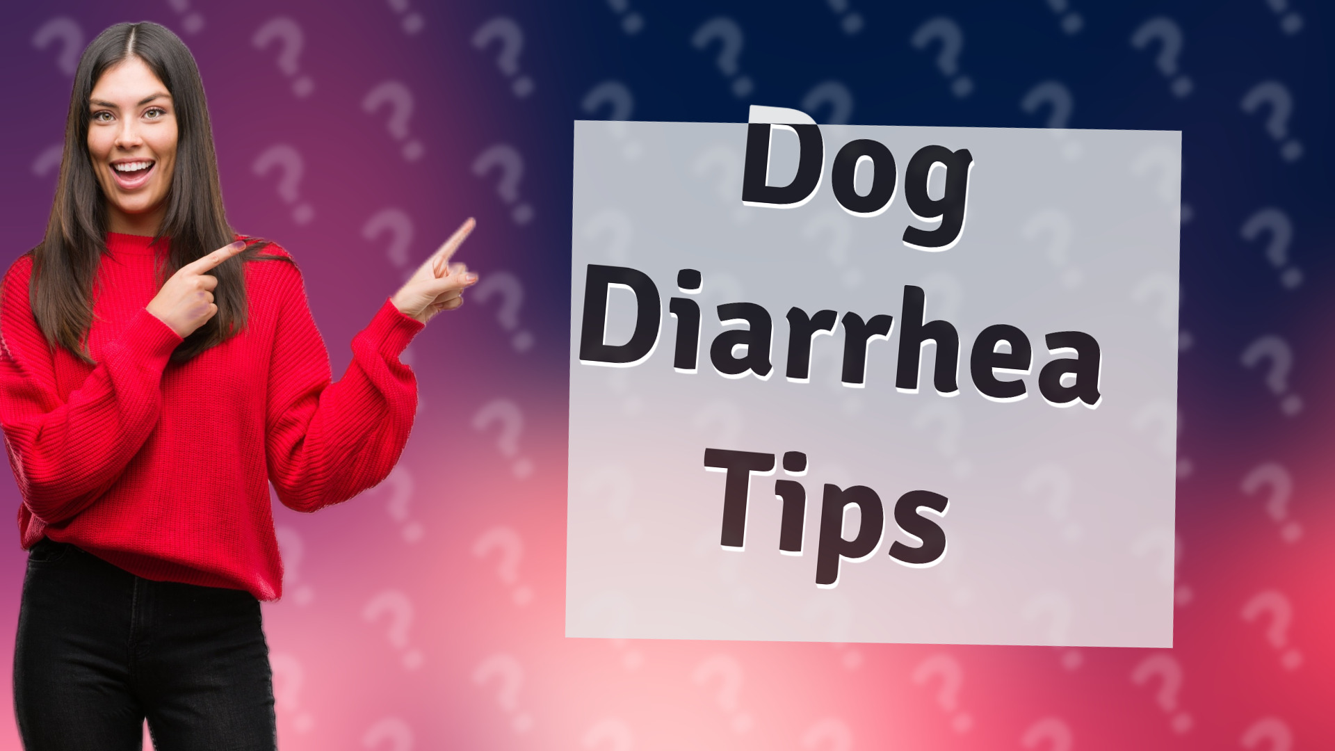 Dog Diarrhea Tips