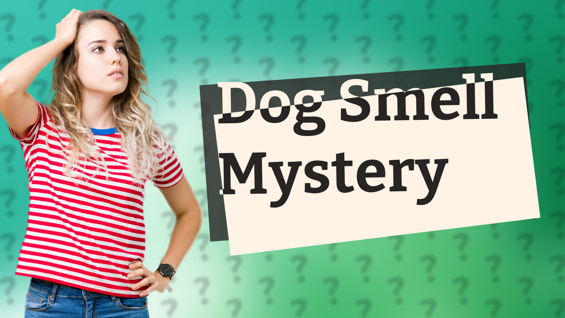 Dog Smell Mystery