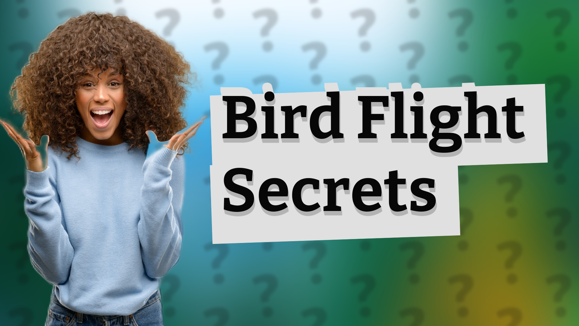 Bird Flight Secrets