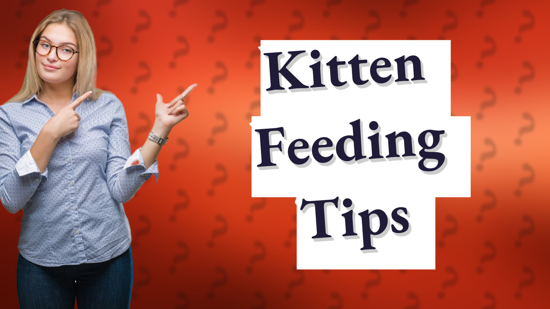 Kitten Feeding Tips