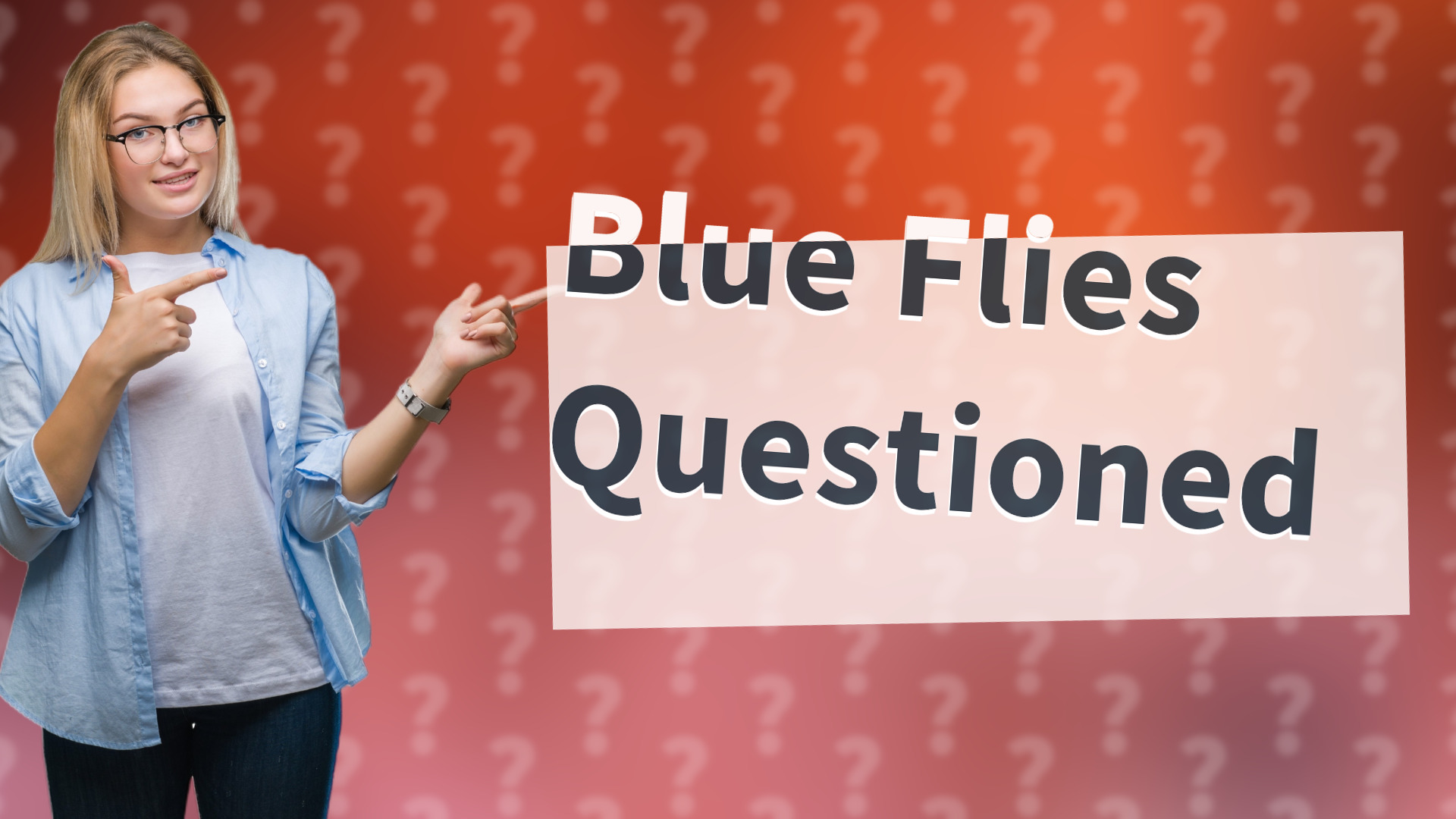 Blue Flies Questioned