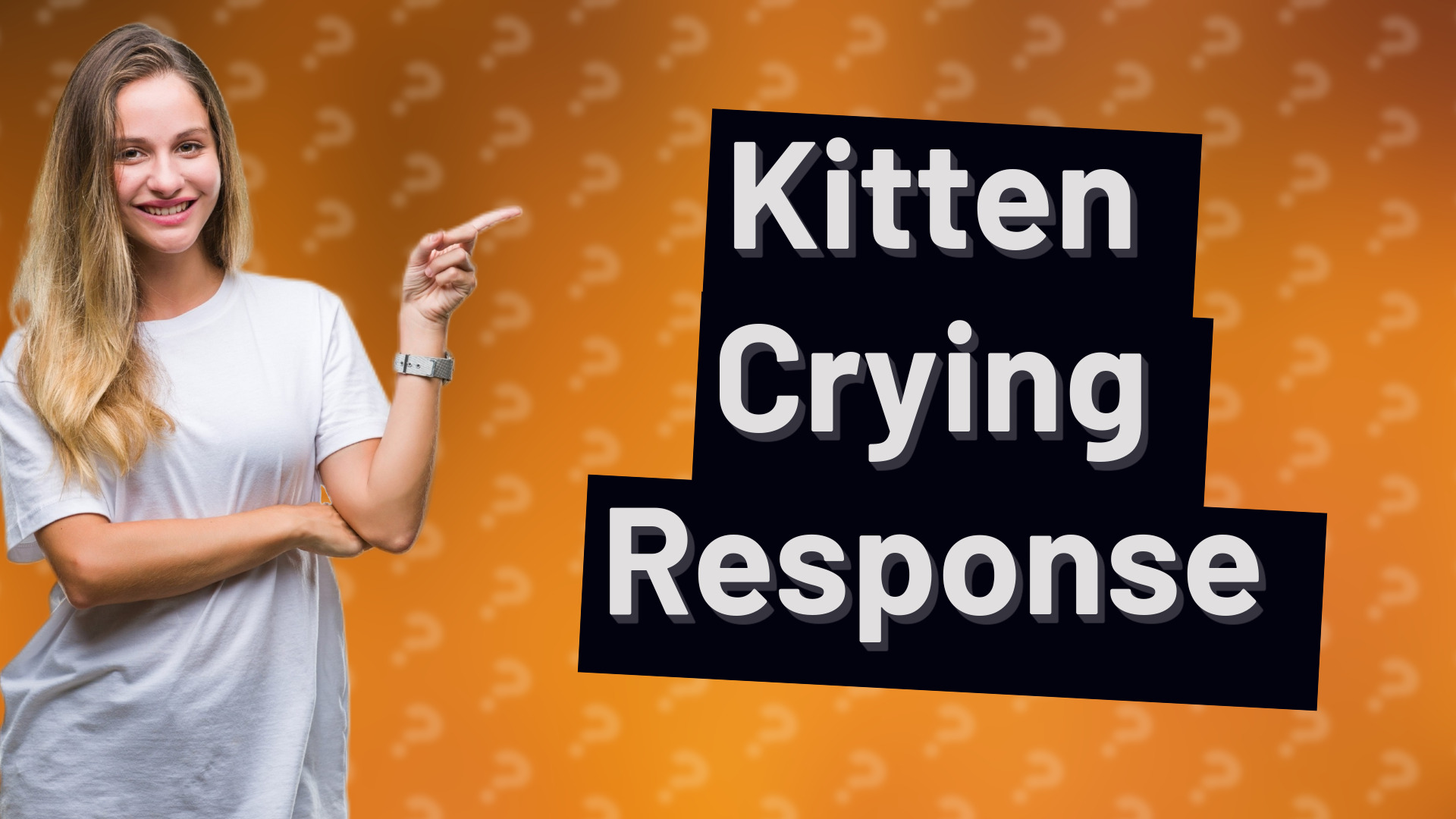 Kitten Crying Response