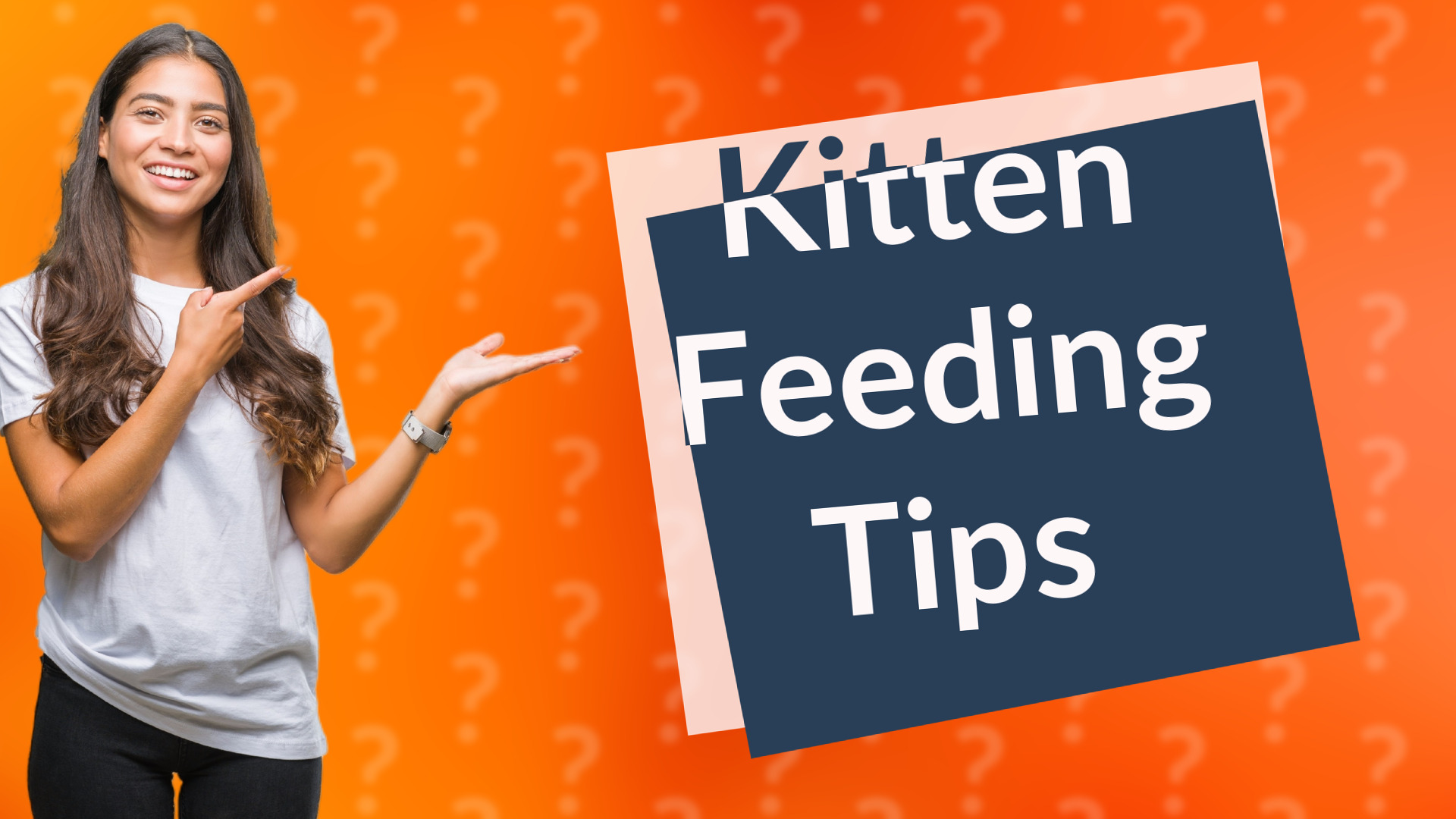 Kitten Feeding Tips