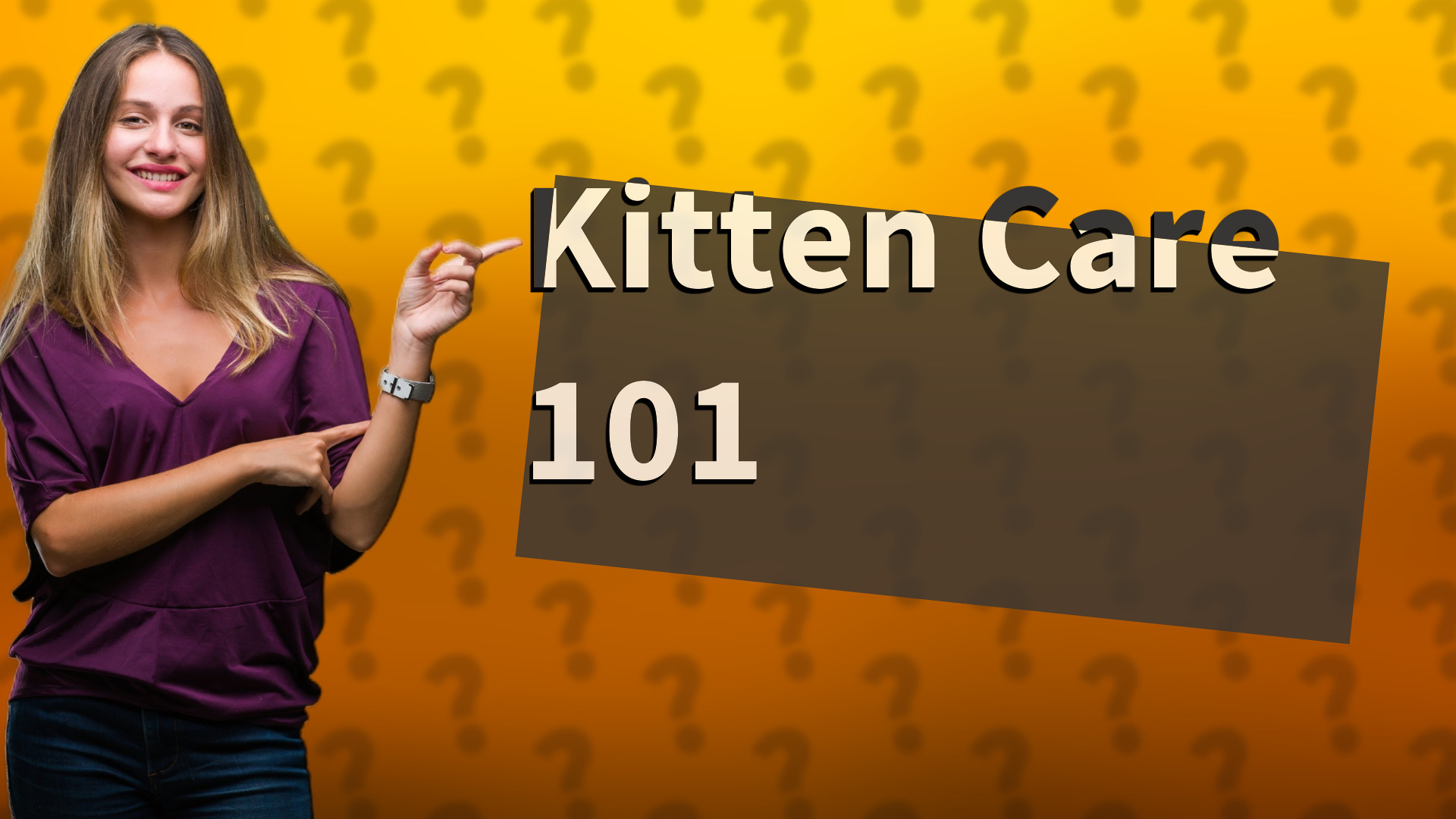 Kitten Care 101