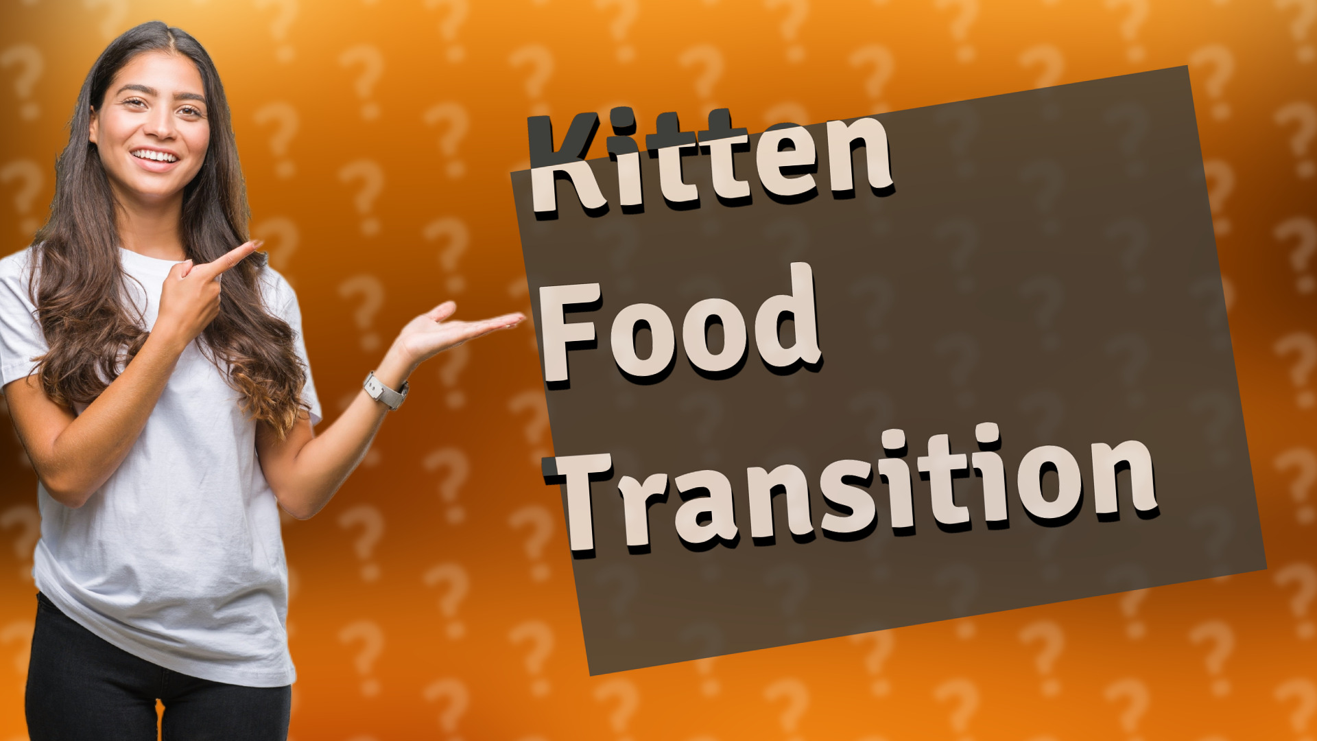 Kitten Food Transition