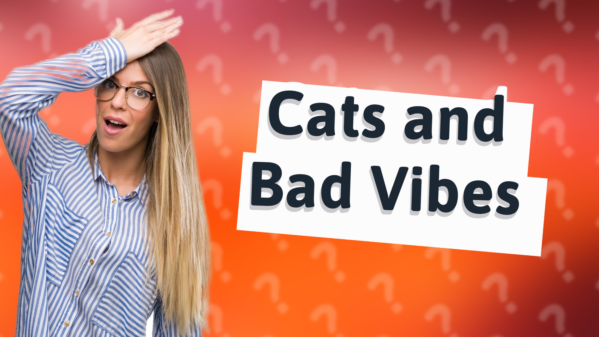 Cats and Bad Vibes