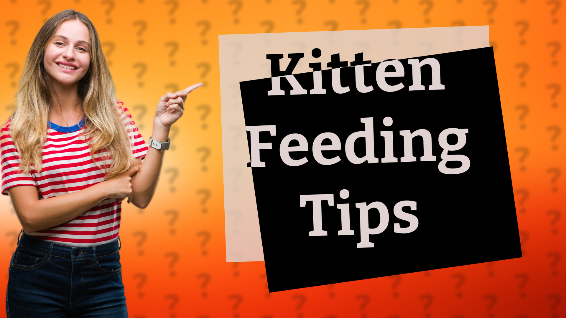 Kitten Feeding Tips