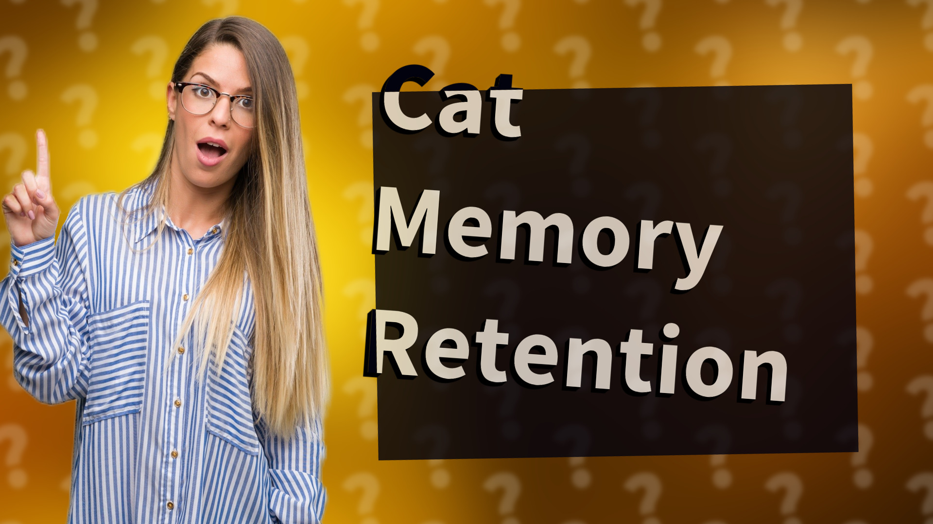 Cat Memory Retention