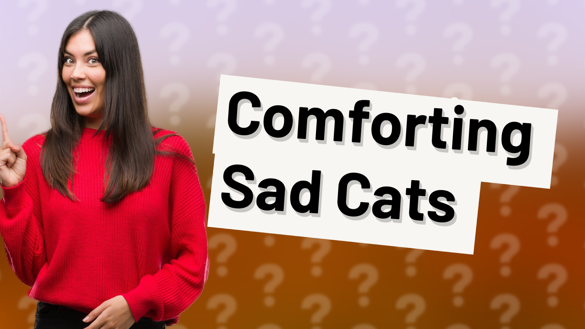 Comforting Sad Cats